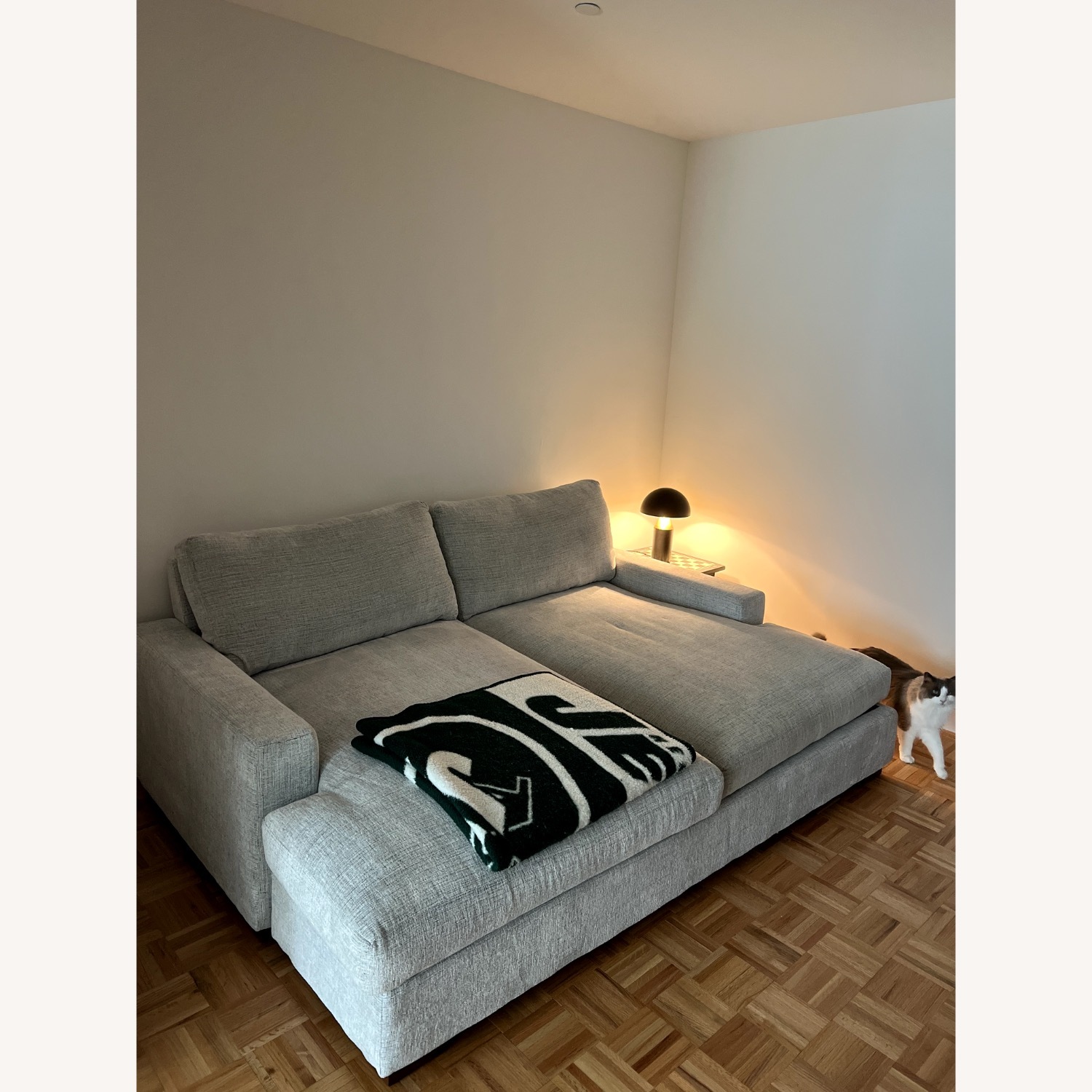 Joybird Anton Dove Grey Daybed - image-2