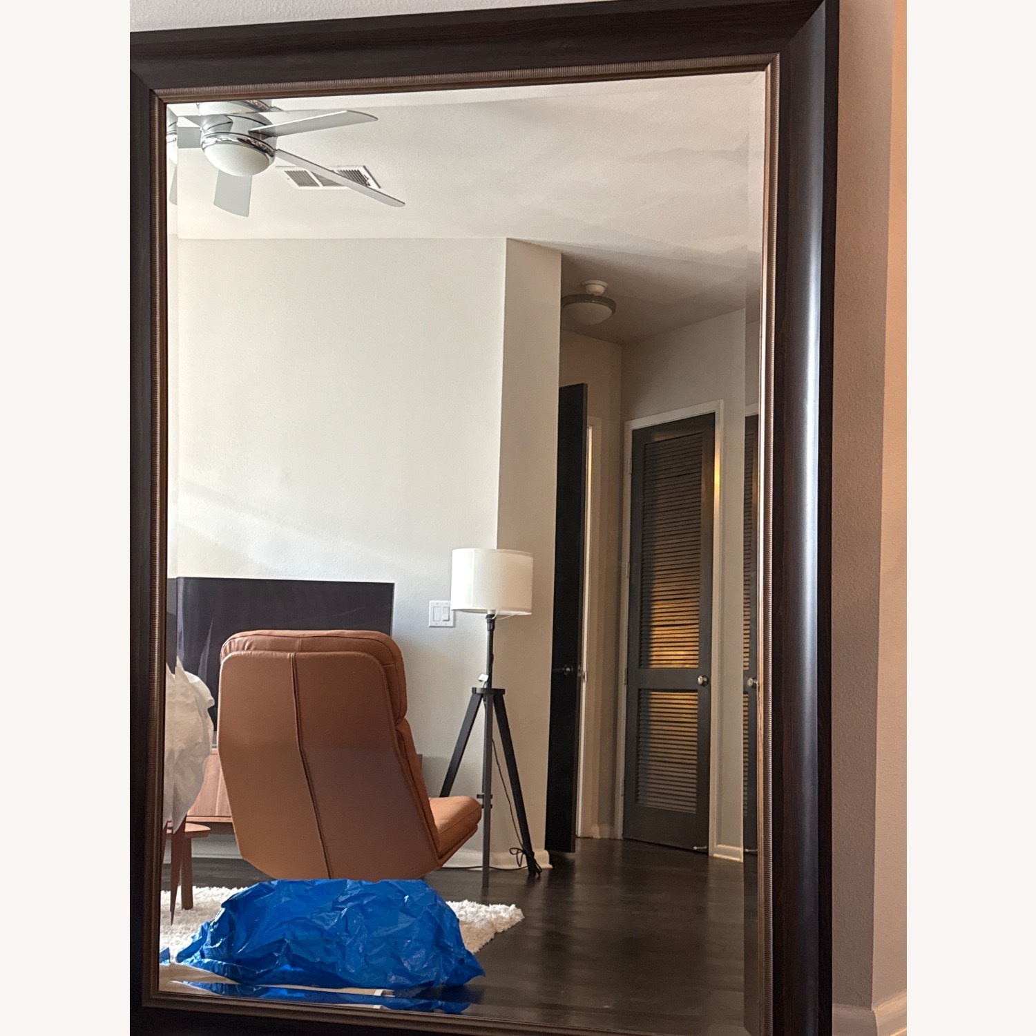 Antique Floor Mirror - image-1