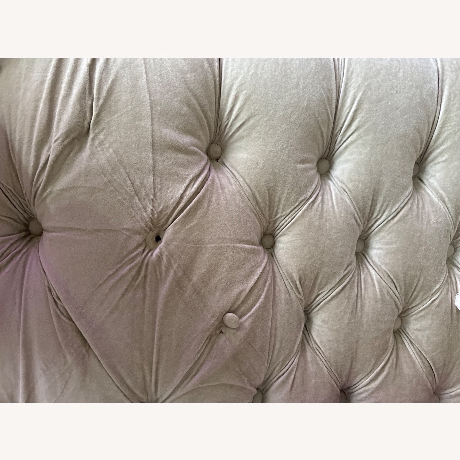 Duchess Sofa in Beige - image-4