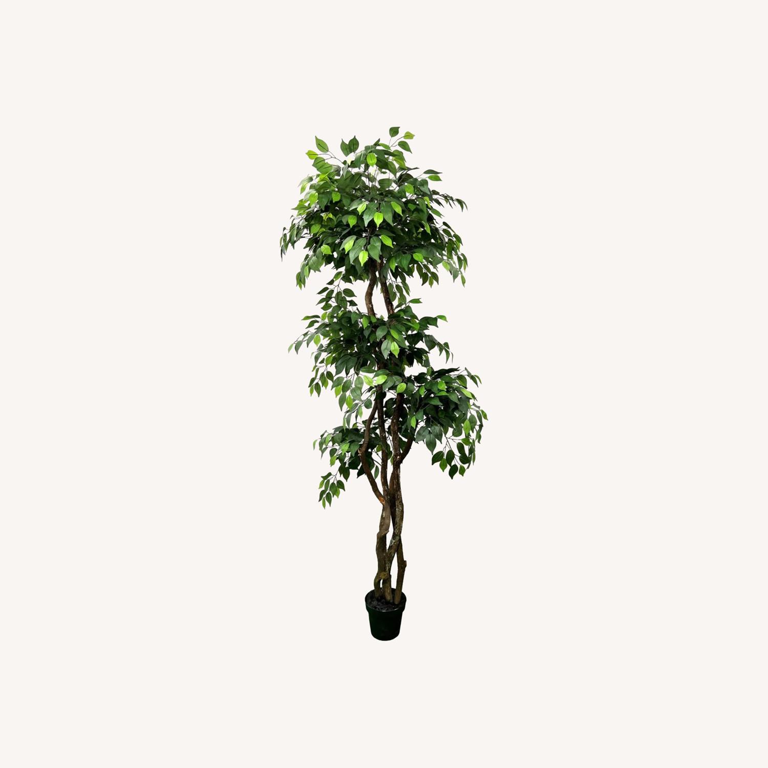 Hand Made Primrue 6.5” Artificial Ficus Tree - image-0