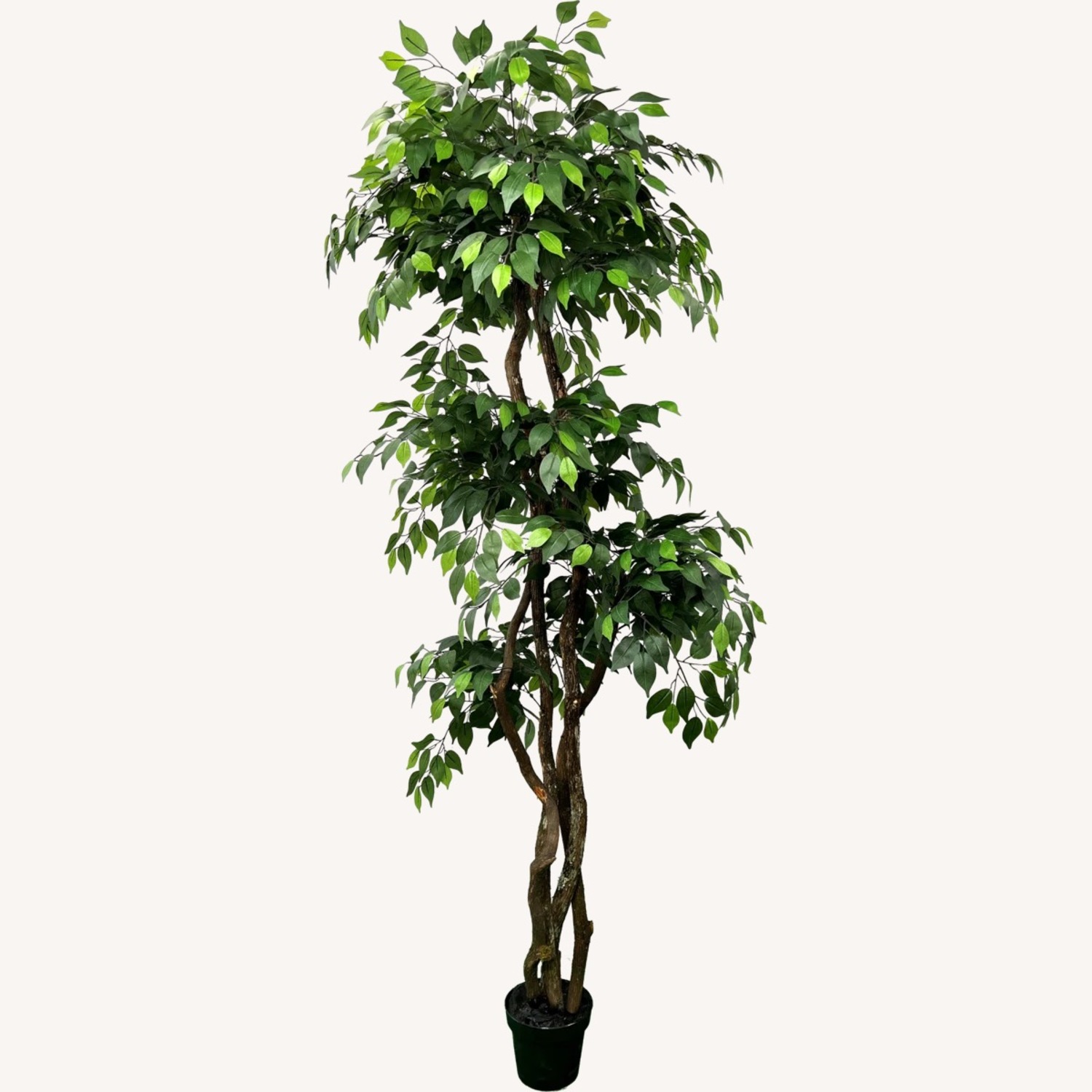 Hand Made Primrue 6.5” Artificial Ficus Tree - image-1