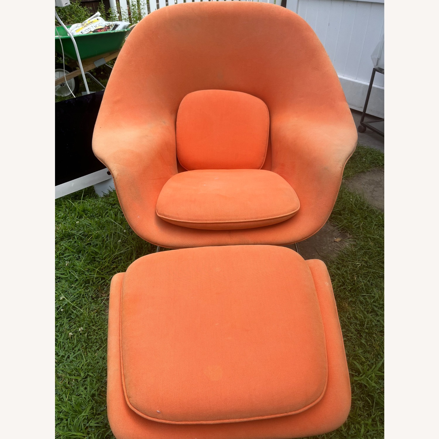 Knoll Womb Chair - image-1