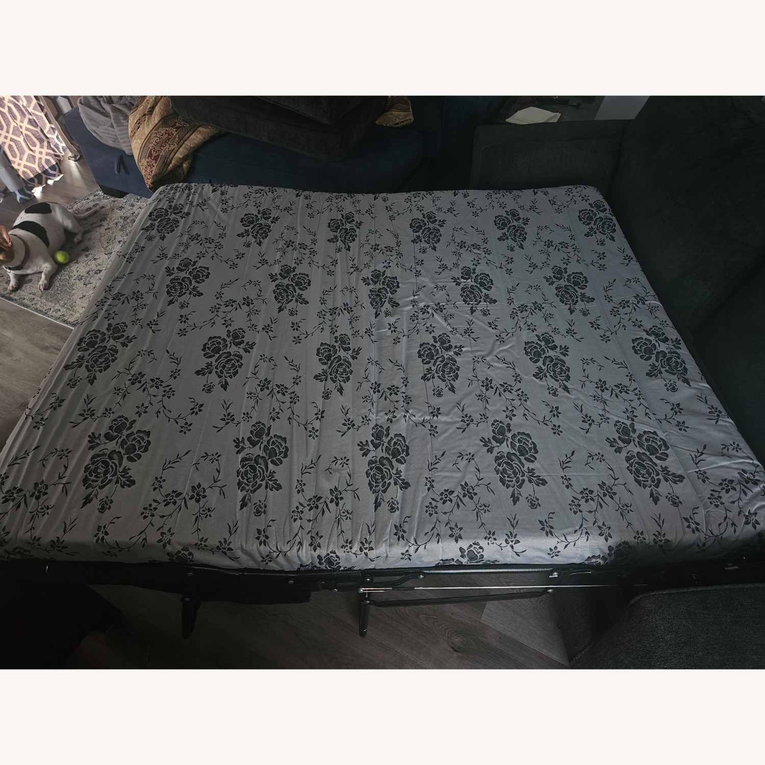 City Furniture Sofabed - image-3