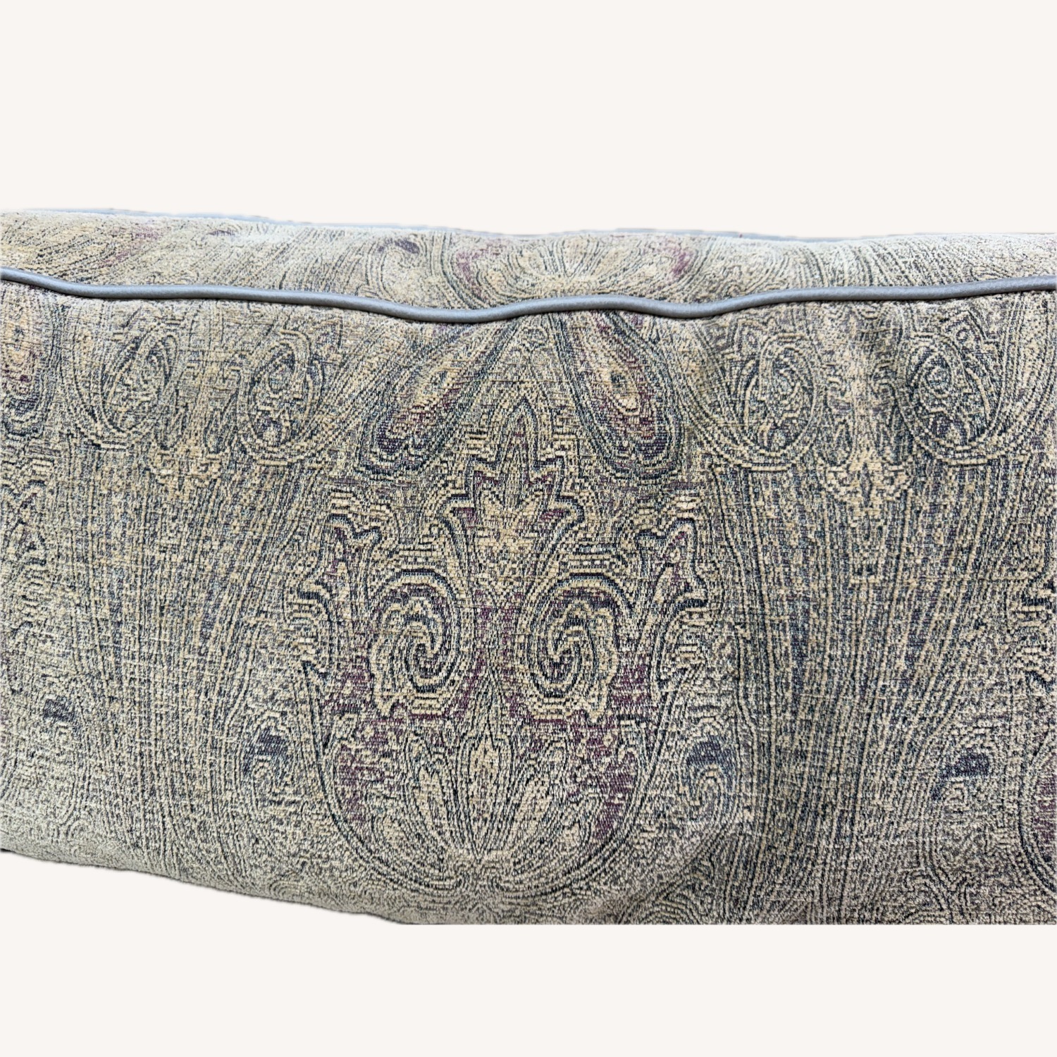 Comfiest Sofa Ever - AptDeco