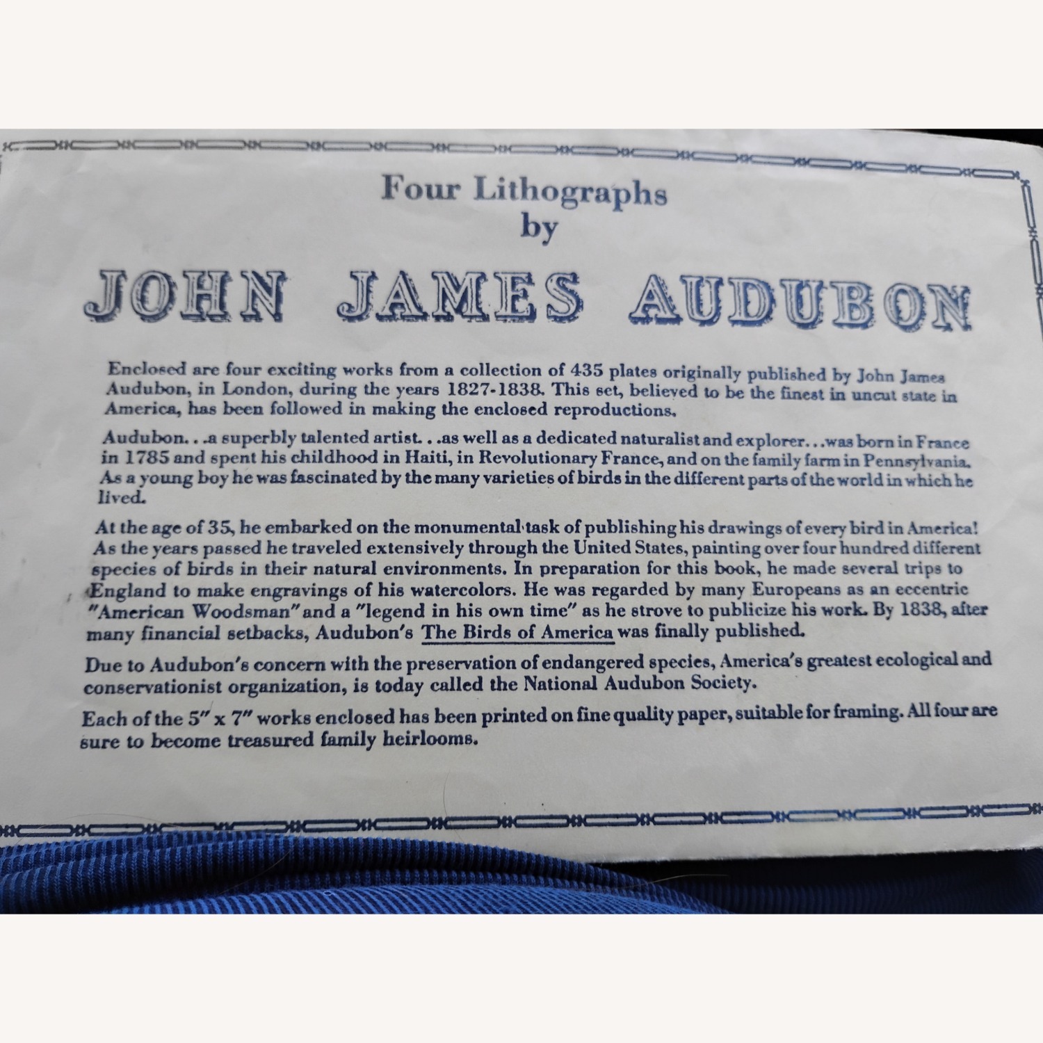 Audubon Birds - image-4