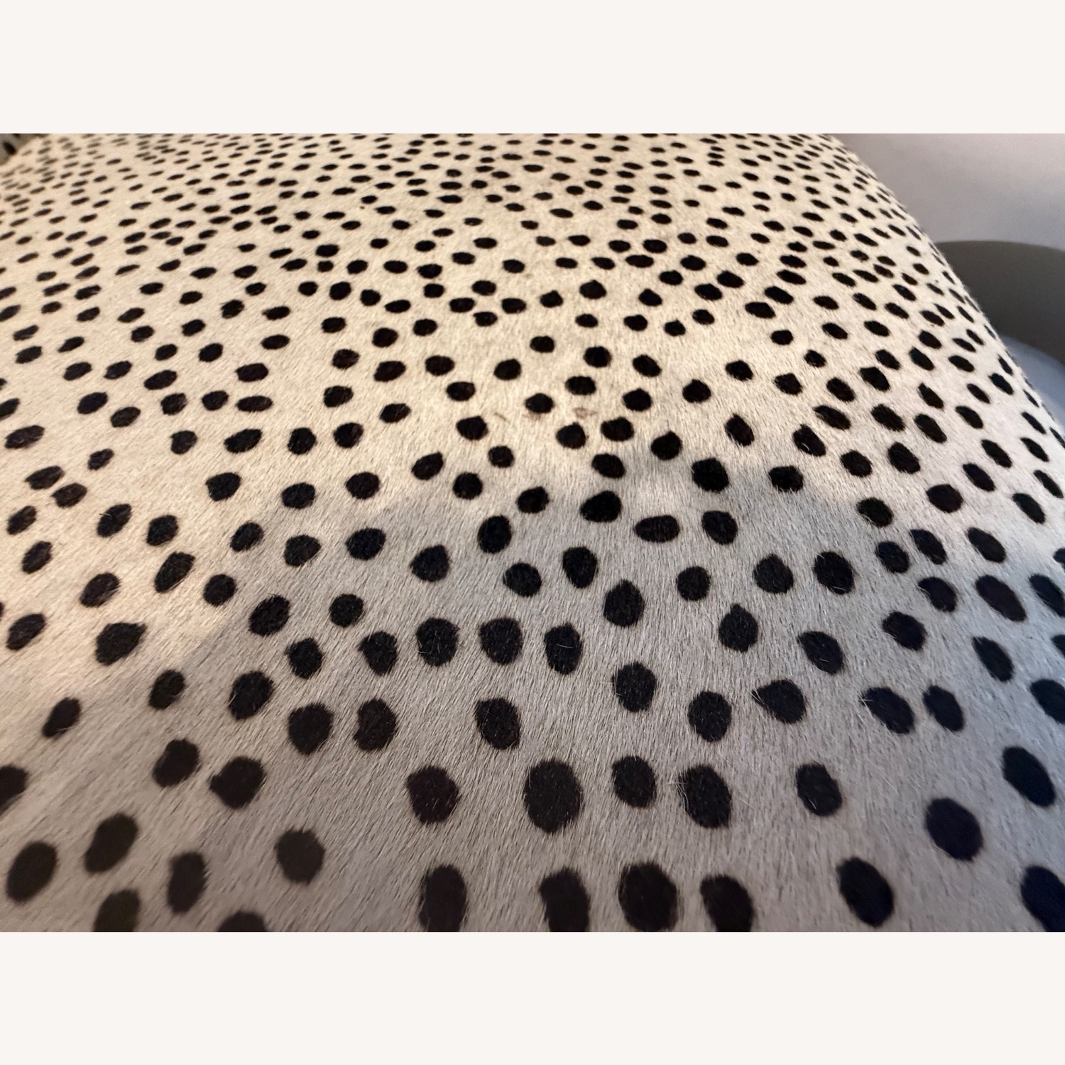 CB2 Imogene Dot Hair On Hide Lounge Chair - image-3
