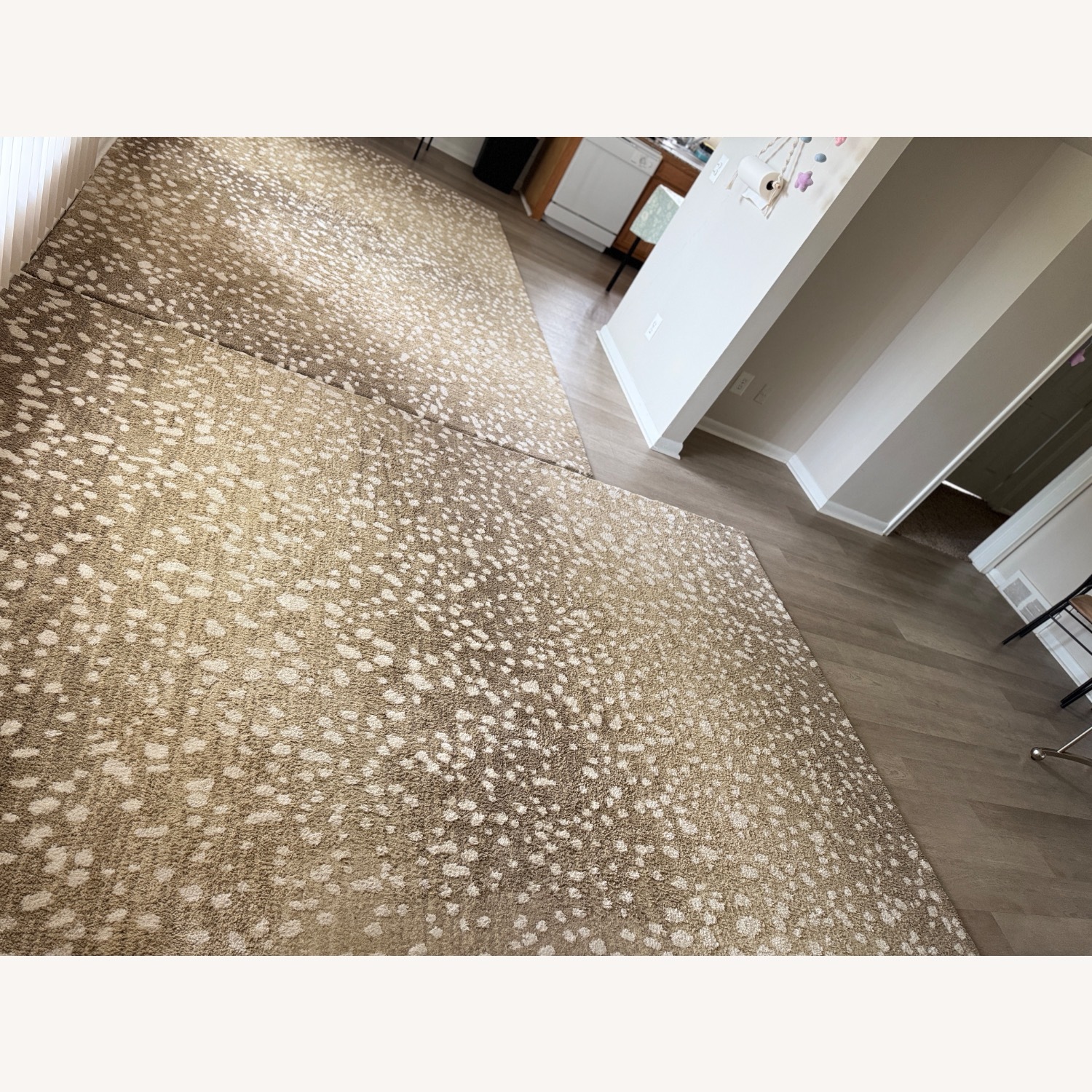 Hudson Living Carpet - image-5