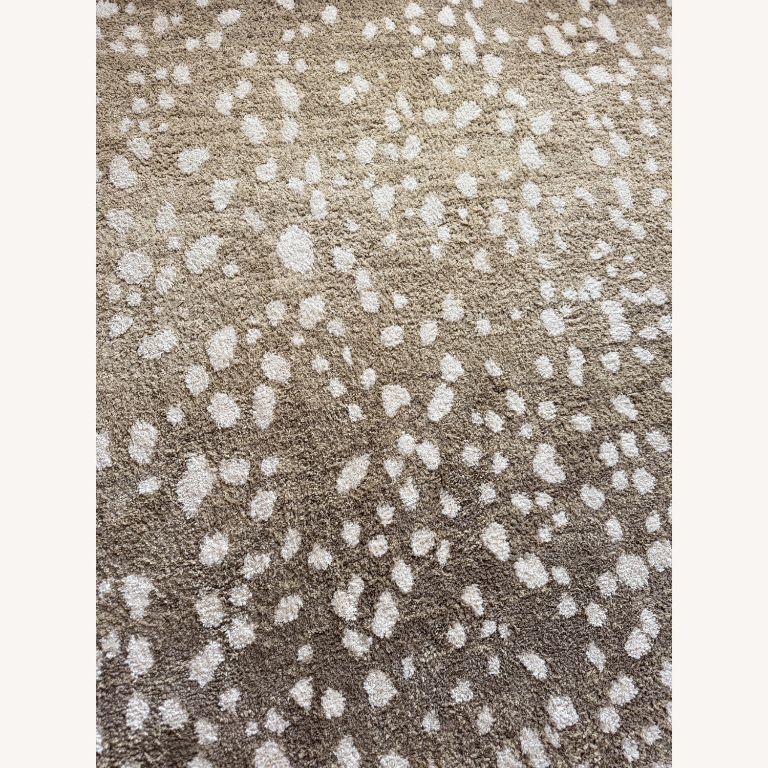 Hudson Living Carpet - image-2