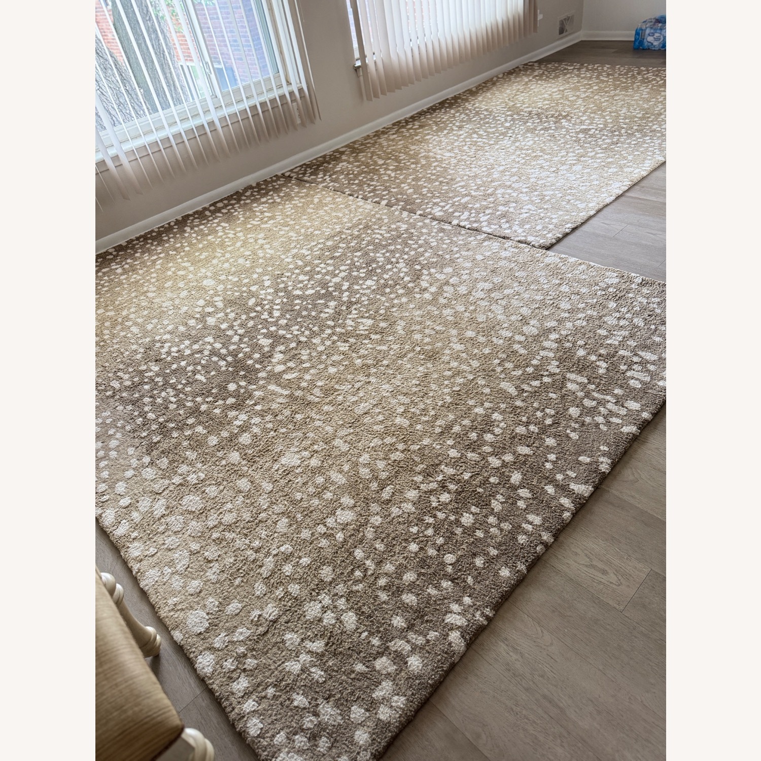 Hudson Living Carpet - image-3