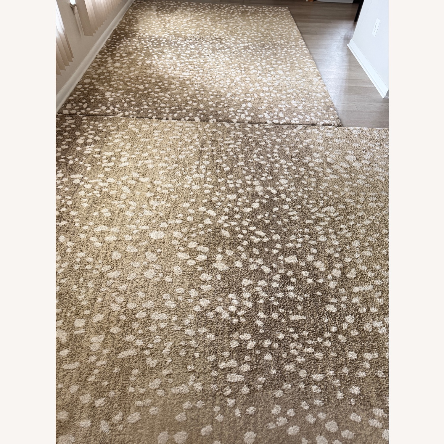 Hudson Living Carpet - image-1