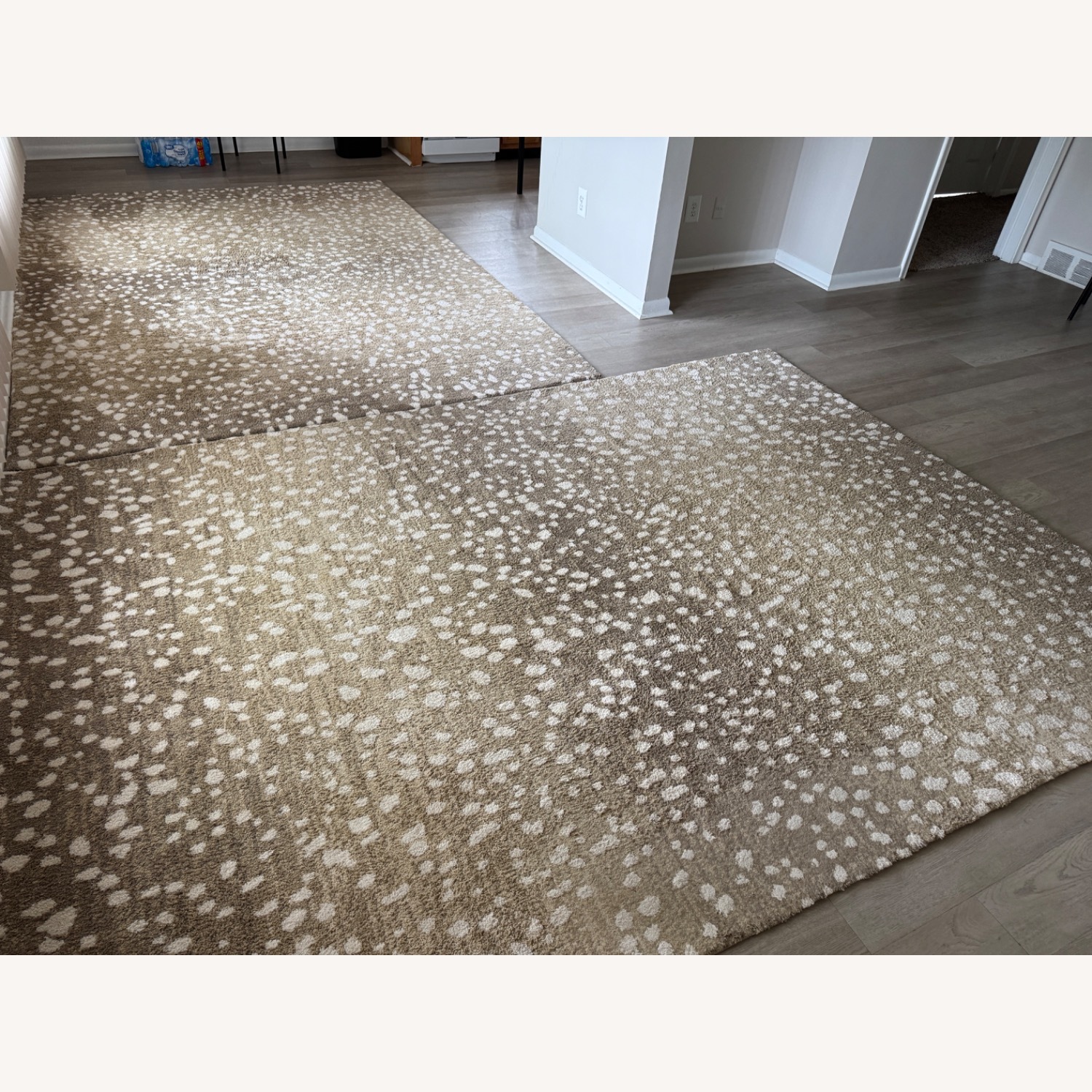 Hudson Living Carpet - image-4