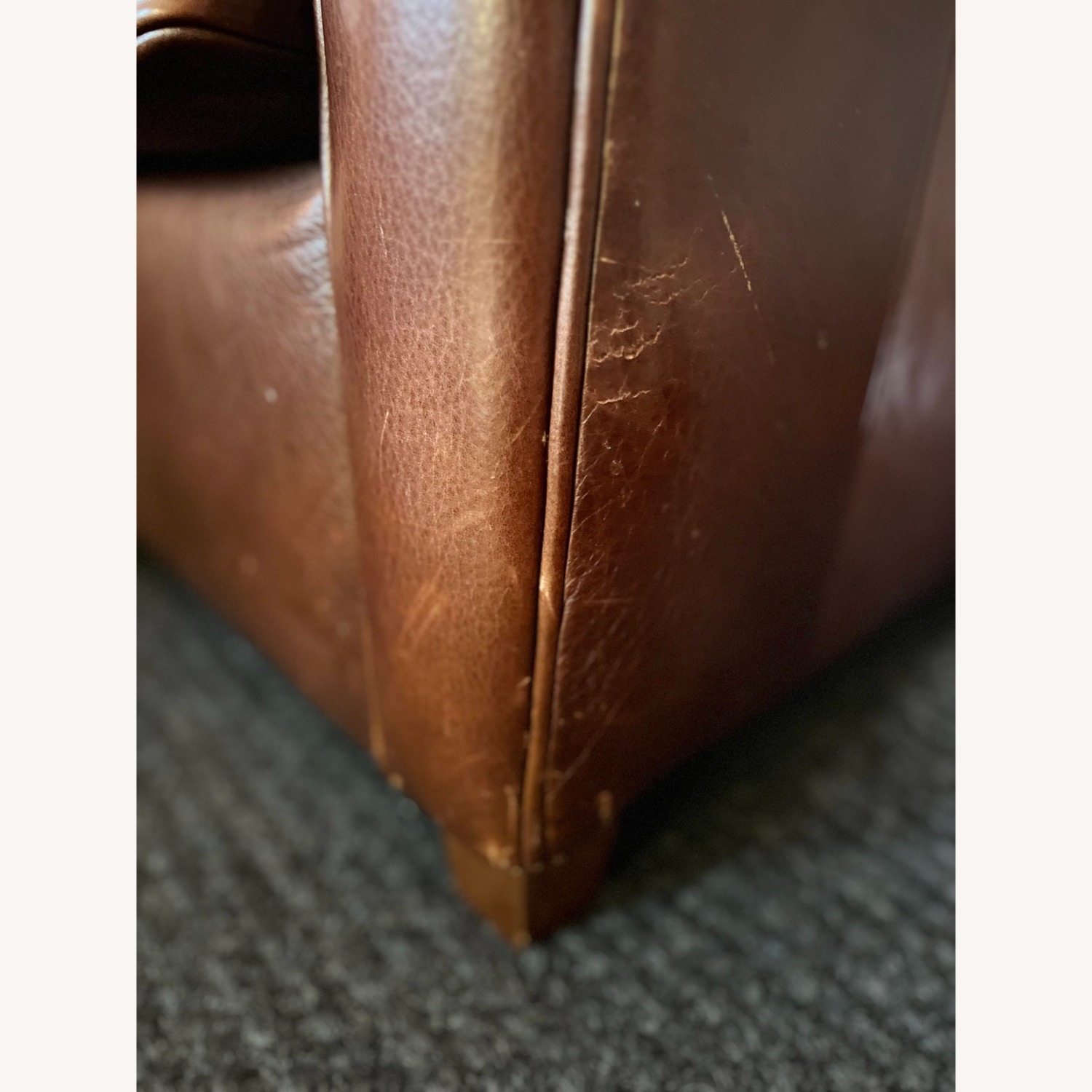 Bauhaus 2 Living Room Leather Club Chairs - image-10