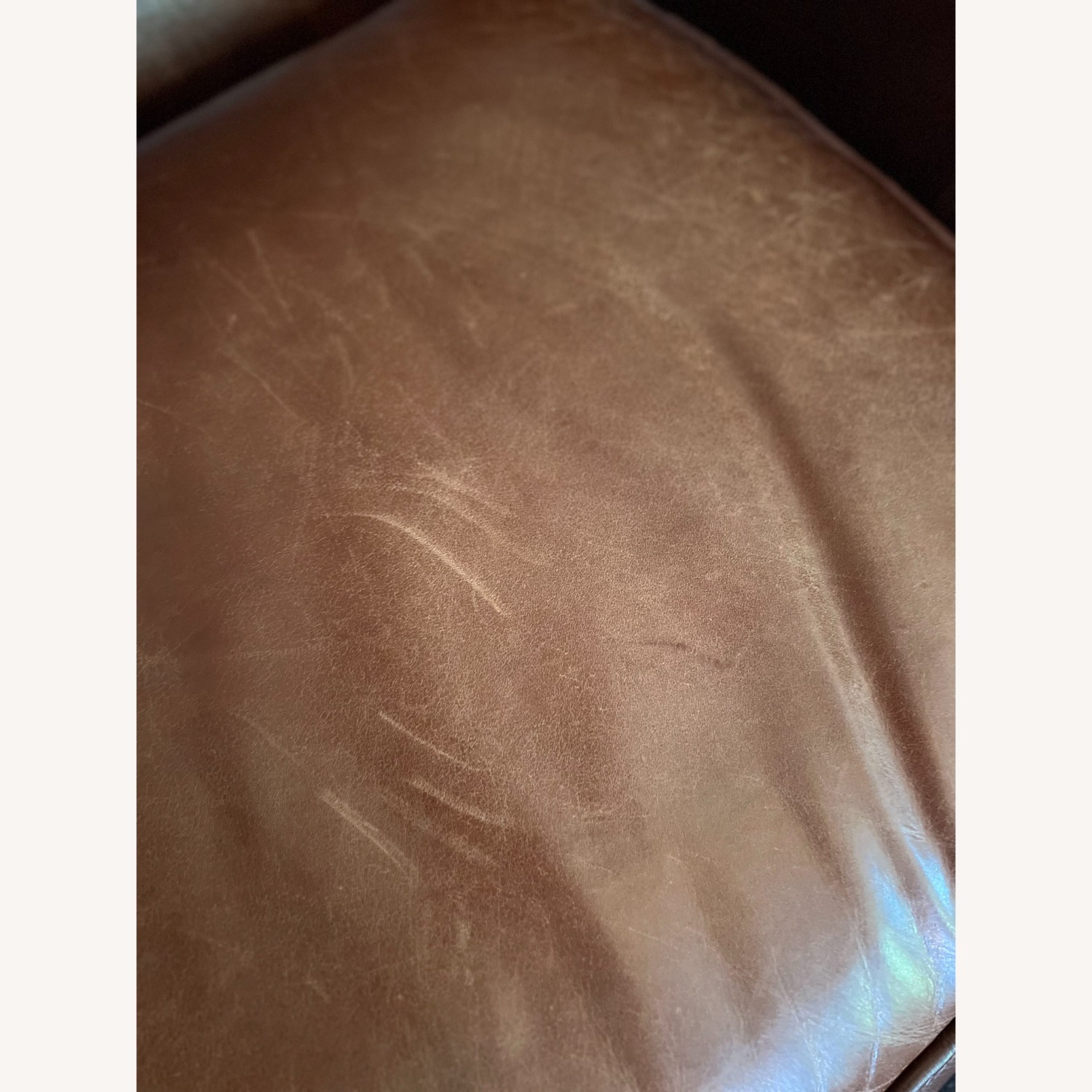 Bauhaus 2 Living Room Leather Club Chairs - image-5