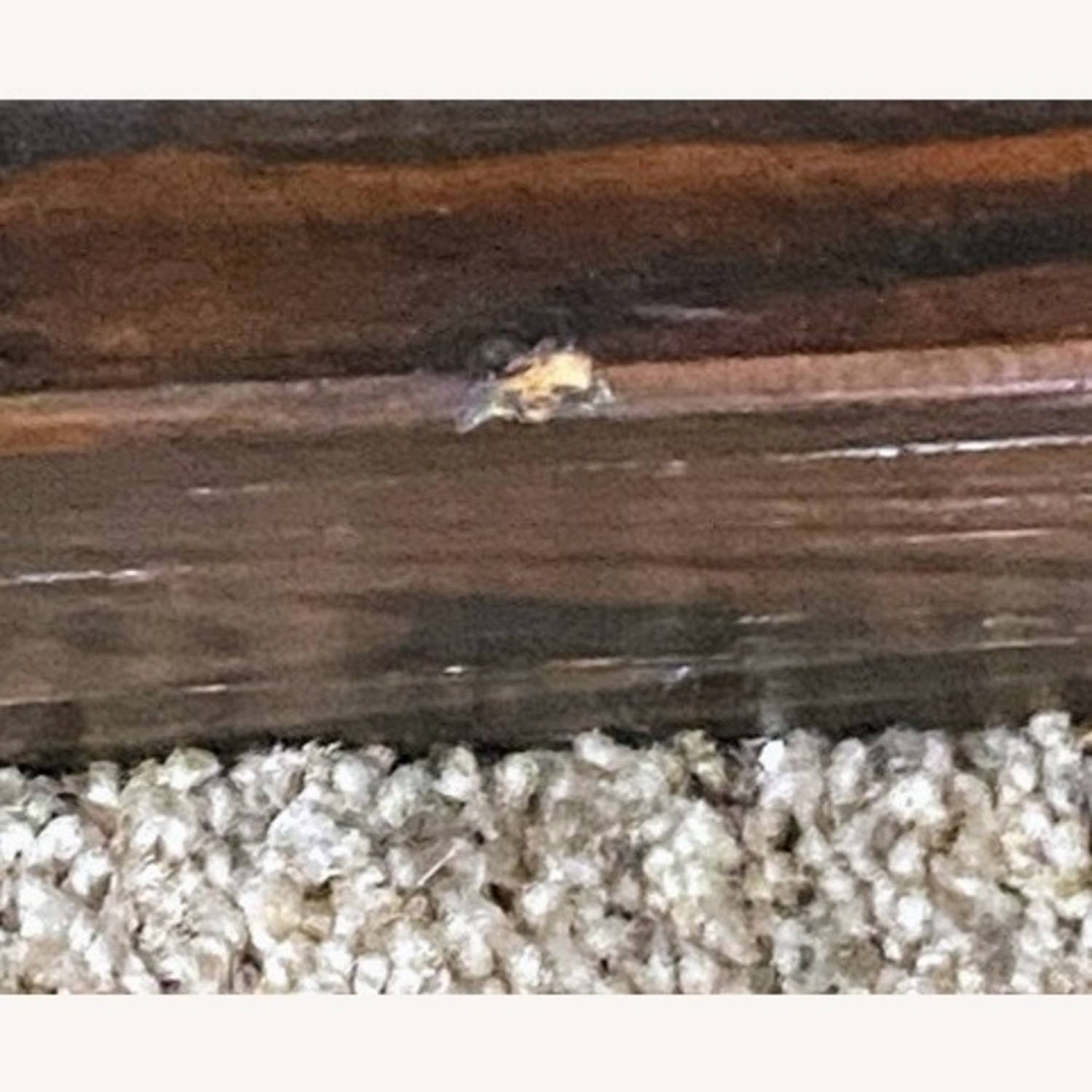 Pier 1 Imports Armoire - image-4