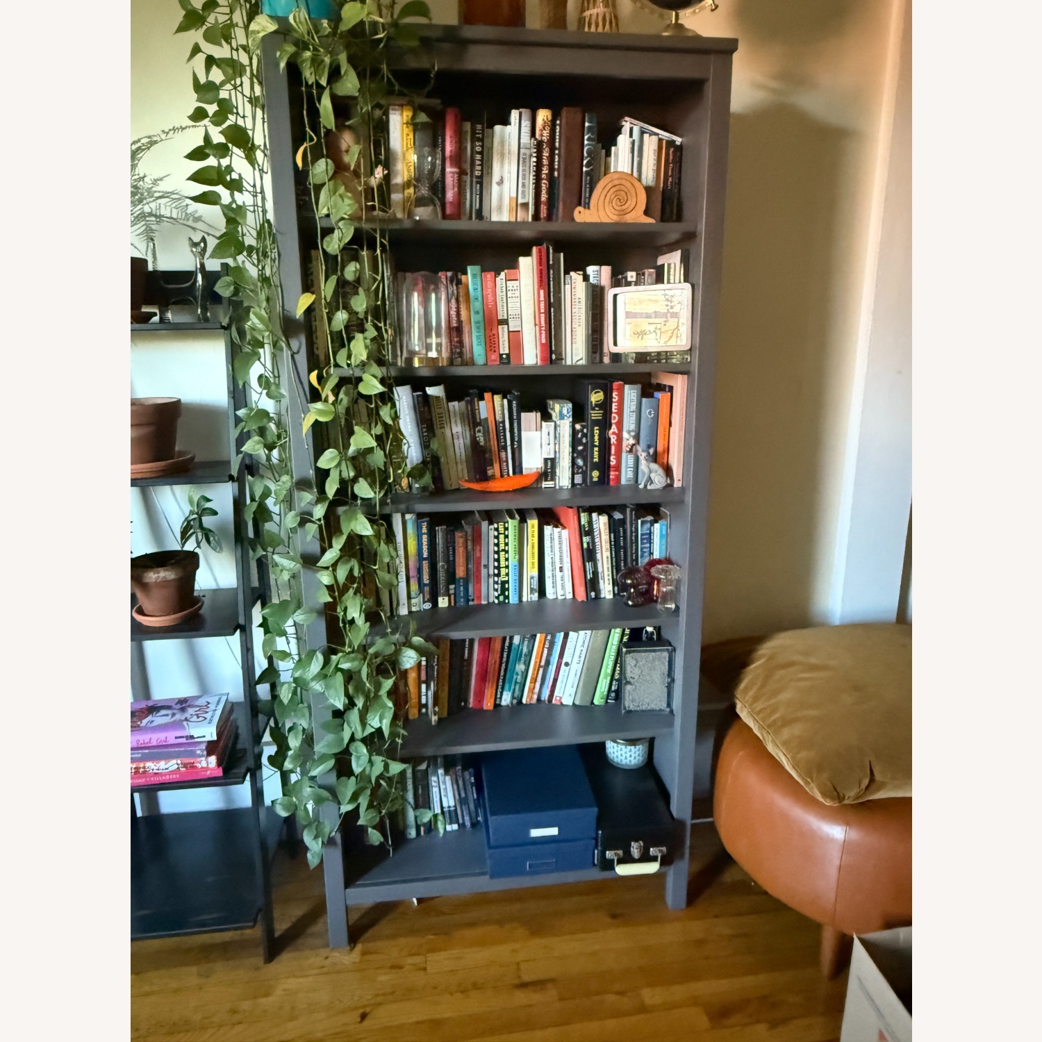 IKEA HEMNES Bookshelf - AptDeco