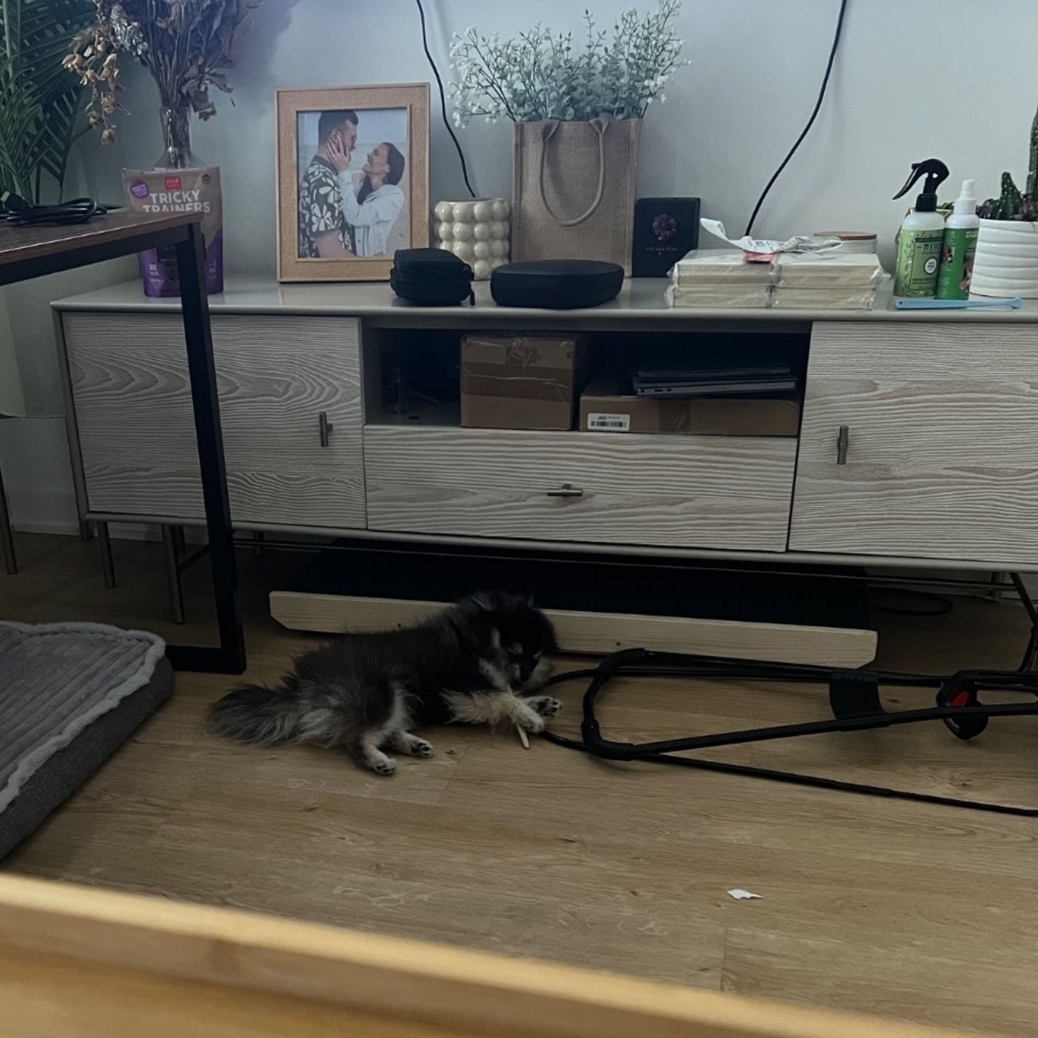 West Elm Modernist Wood & Lacquer Media Console - image-5