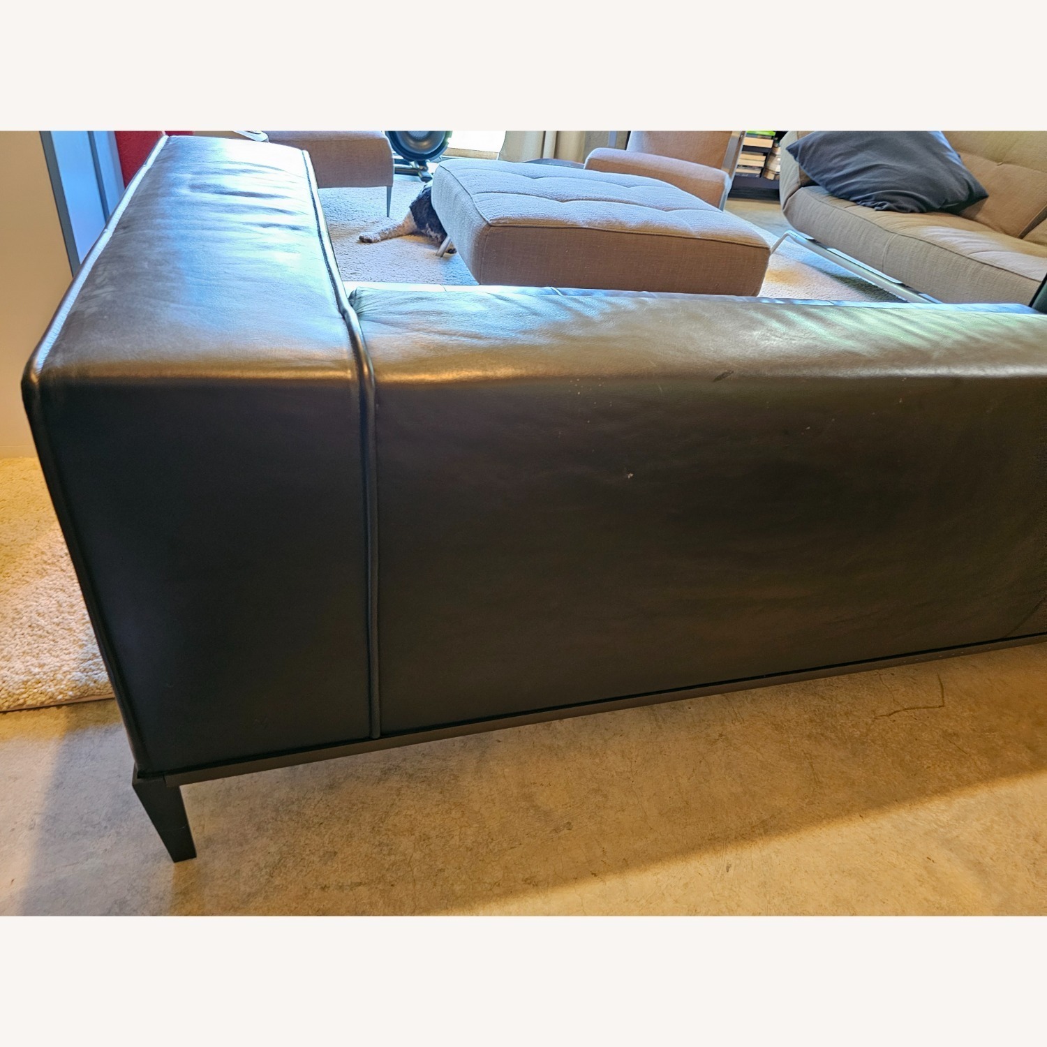 B&B Italia Simplice Leather Sofa - AptDeco