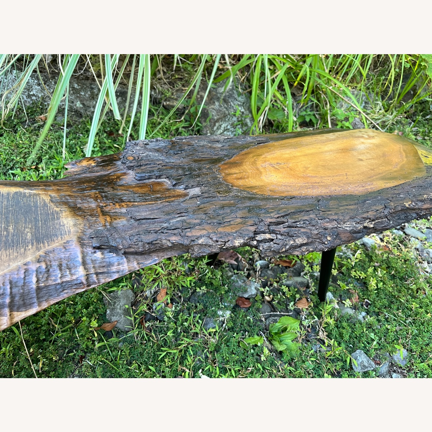 Live Edge Walnut Coffee Table Organic Style - image-7