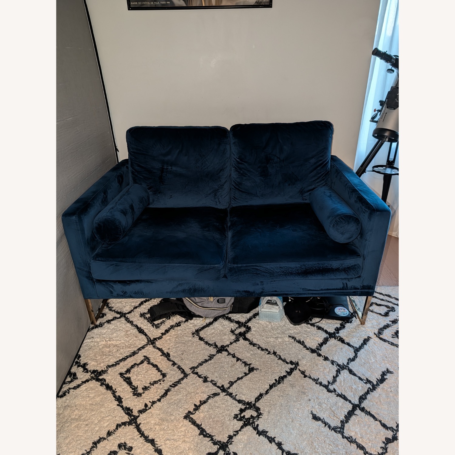 Velvet Loveseat With Gold Chrome - image-1