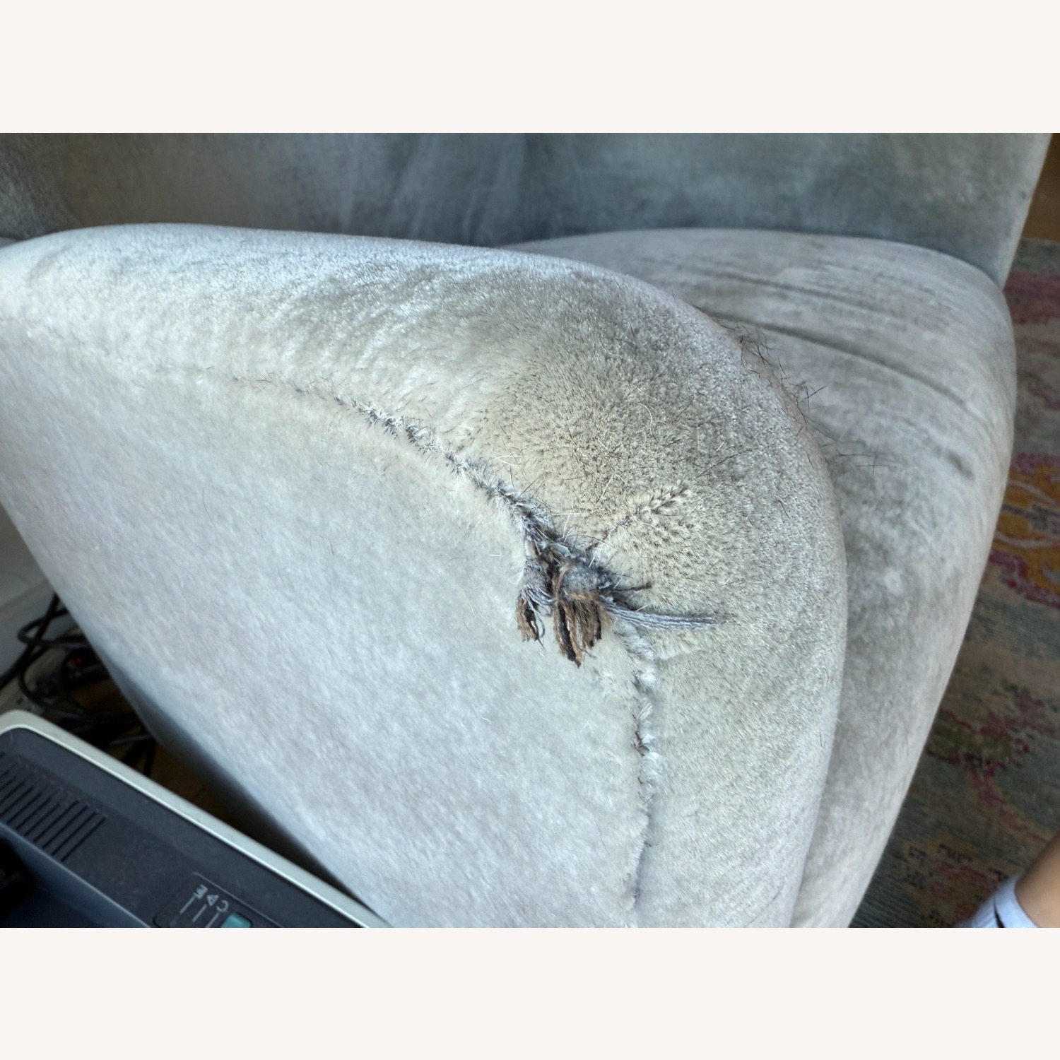 Maiden Home Perry Chair in Sky Blue Velvet - image-3