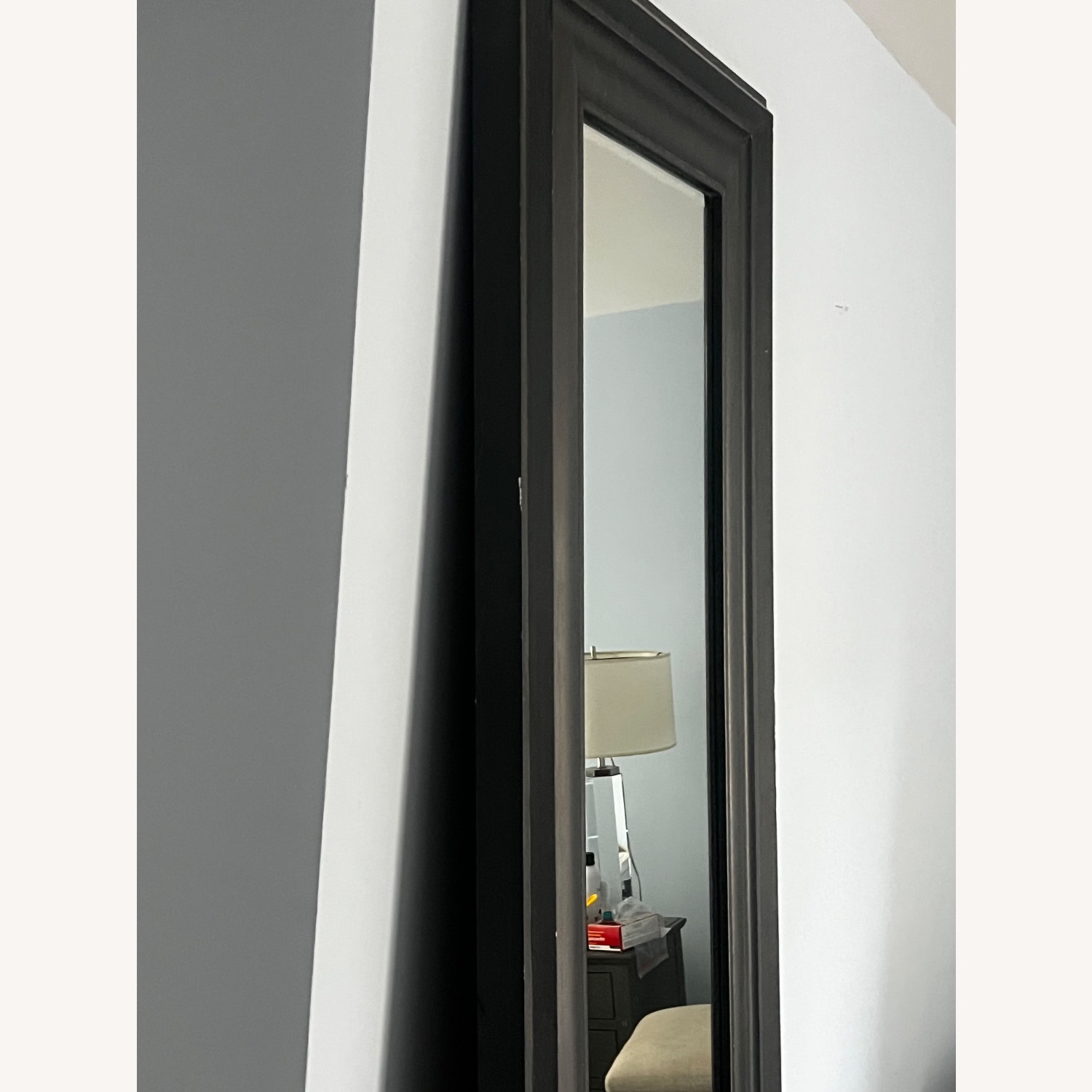 Baroque Weathered Zinc Leaner Mirror  - image-3