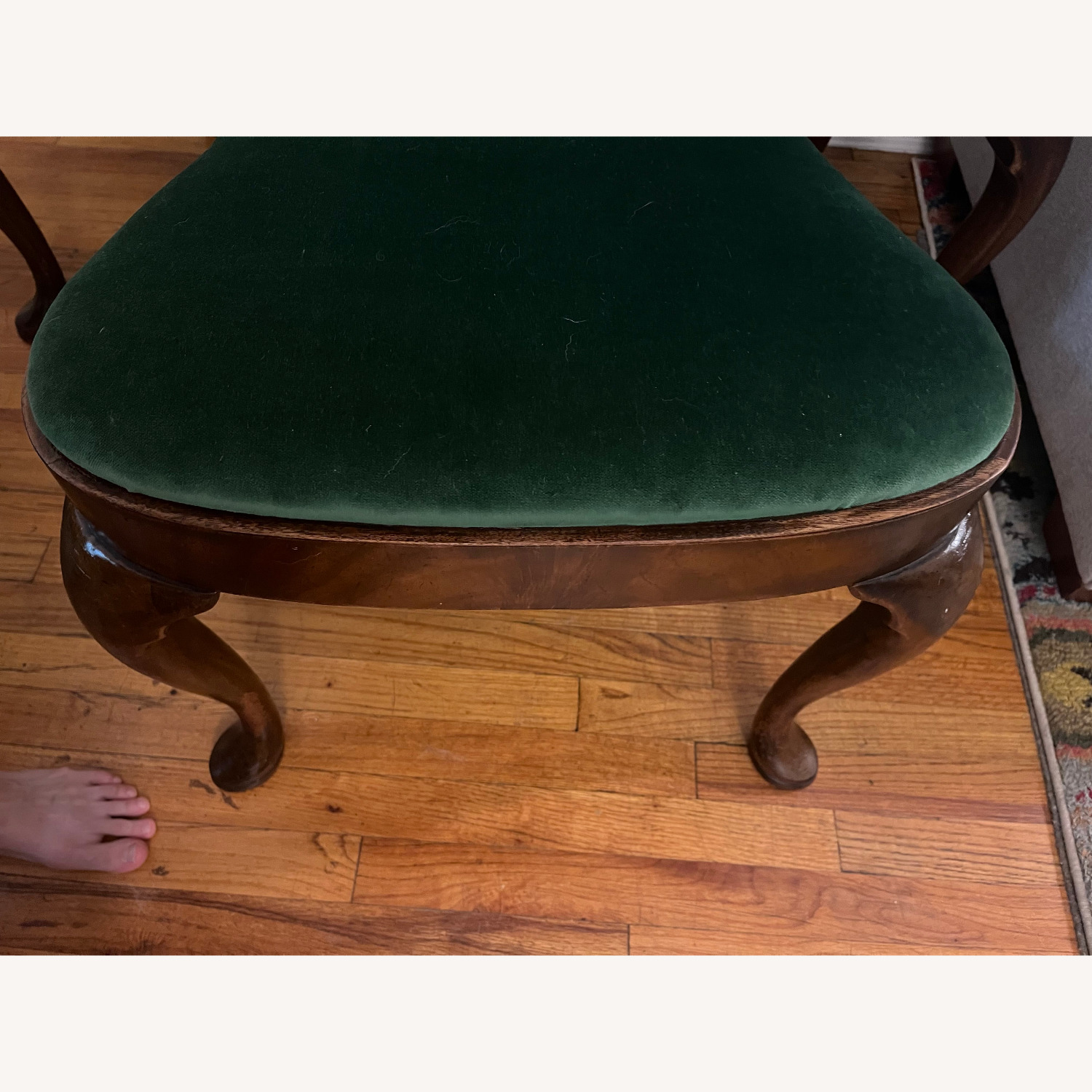 Queen Anne Style Dining Chairs - image-6