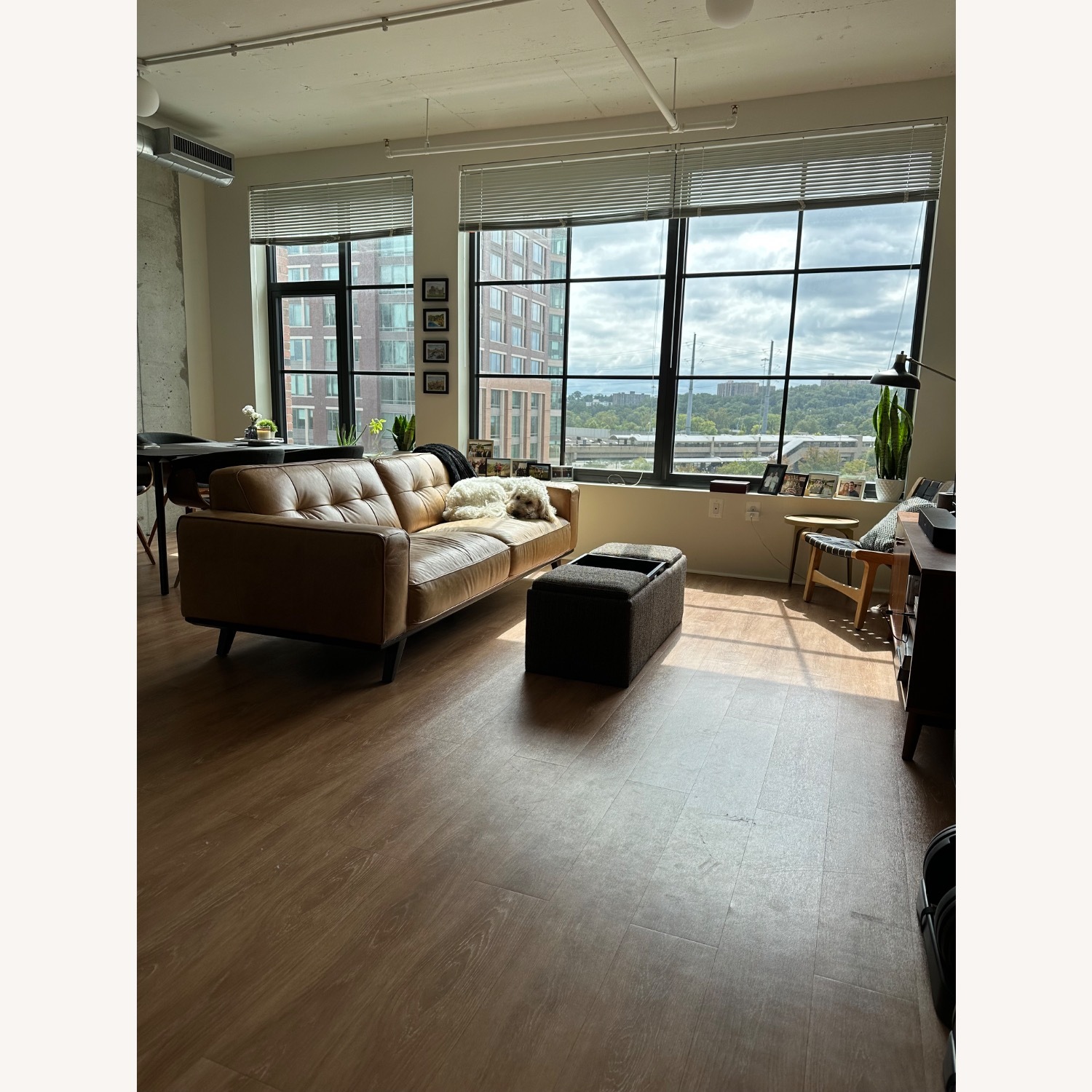 Rivet Cognac Leather Sofa - image-1