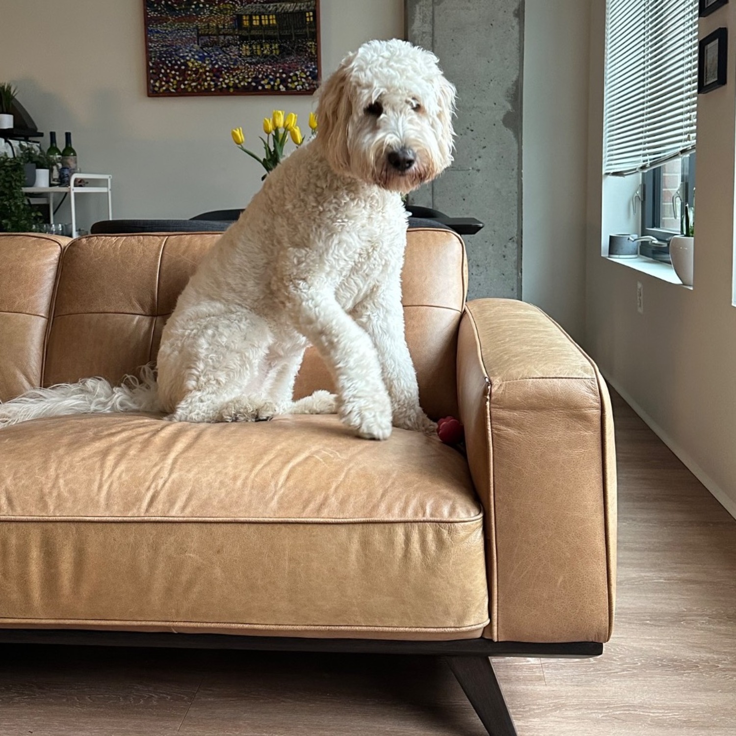 Rivet Cognac Leather Sofa - image-3