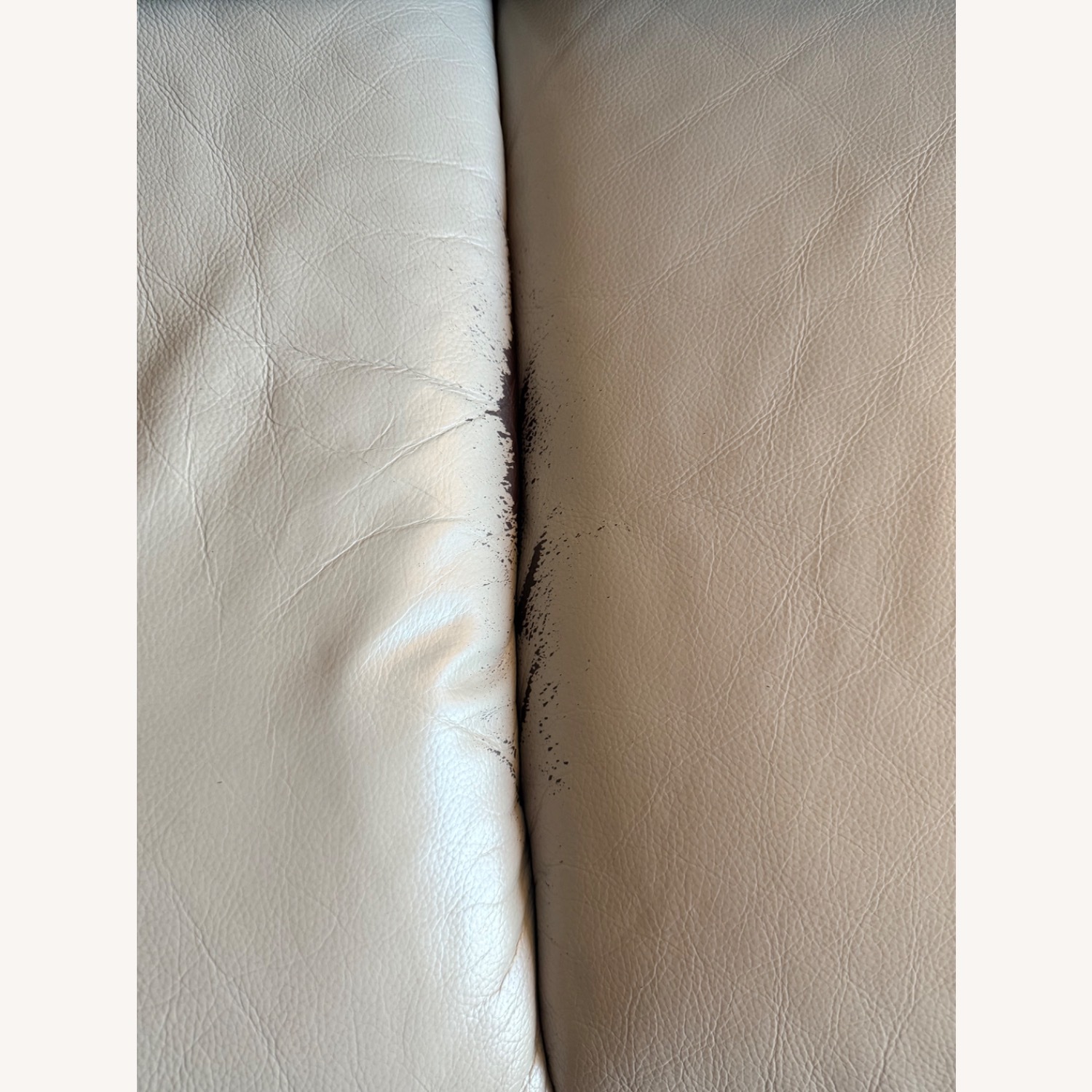 Ostro 5 Piece 100% Leather Sectional - image-1