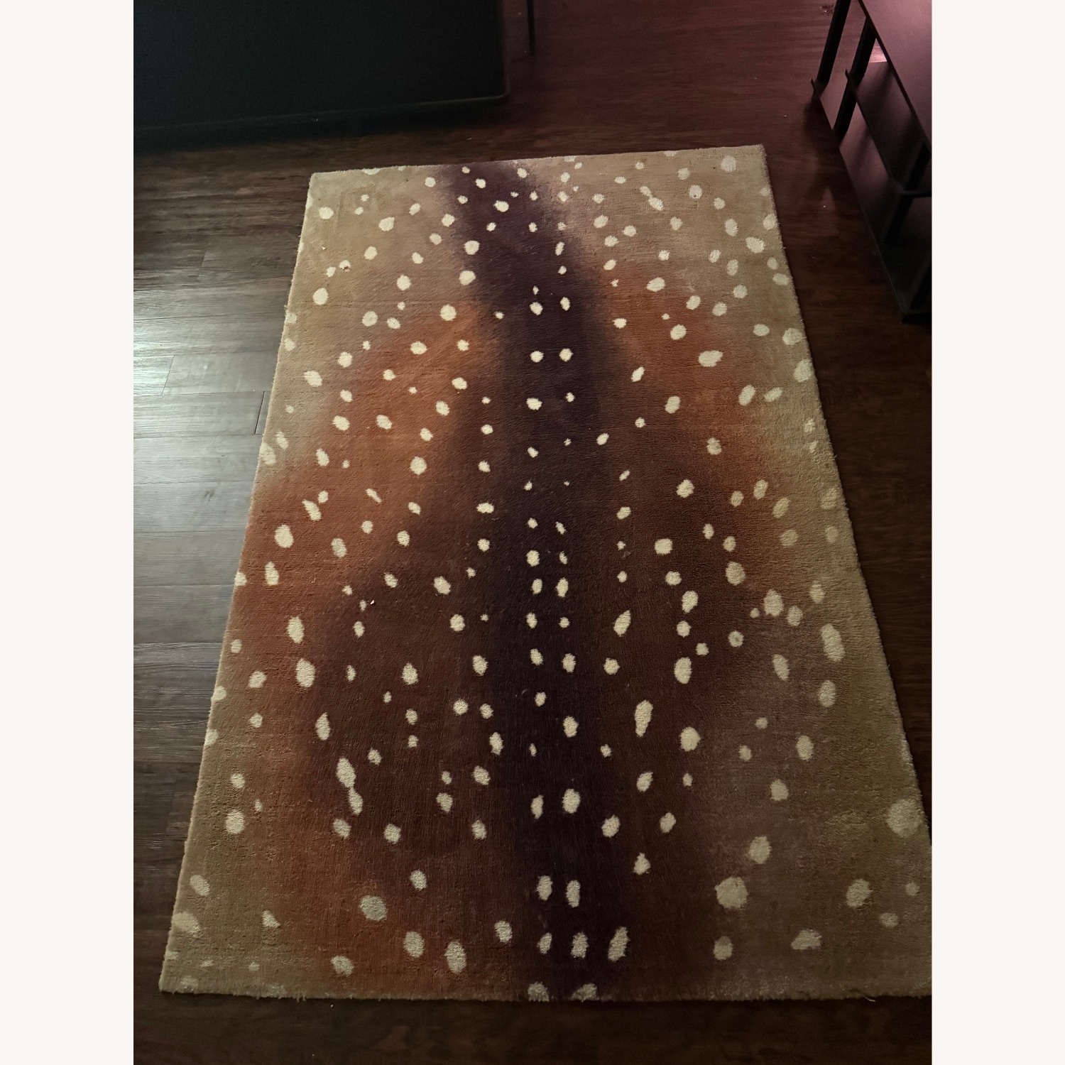 CB2 Antelope Rug - AptDeco