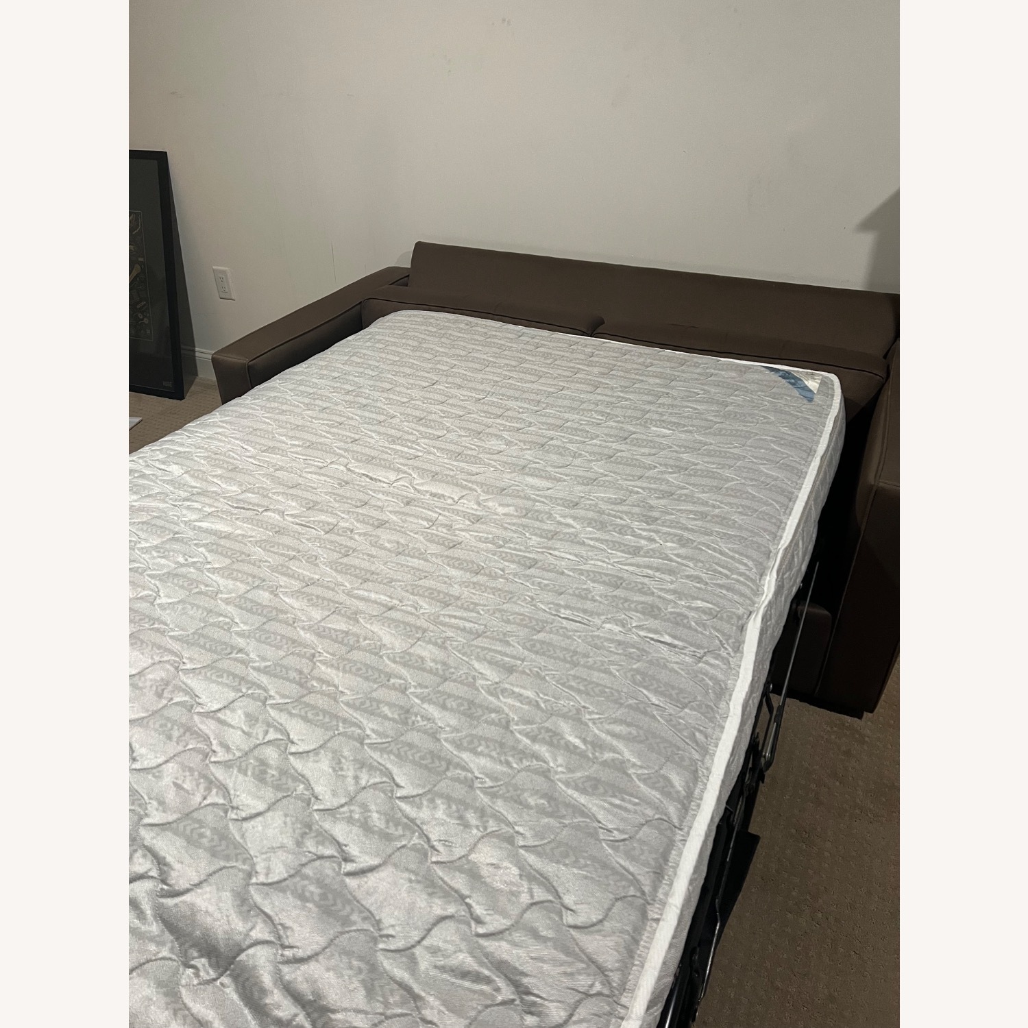 Room & Board Sleeper Sofa - image-10