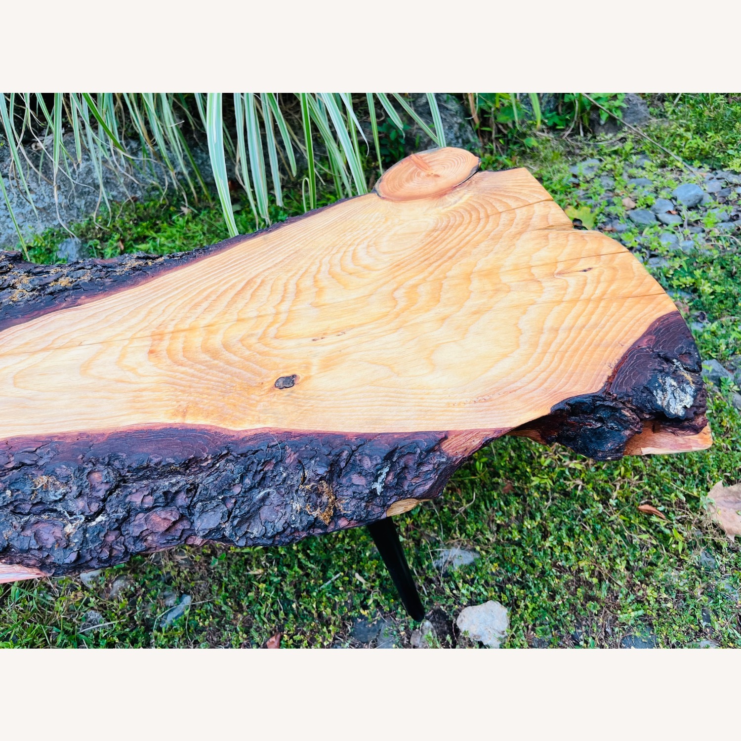 Mid Century Style Live Edge Coffee Table Mod - image-4
