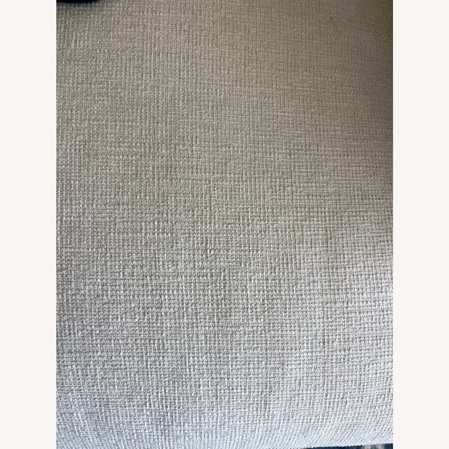 Crate & Barrel Lounge Deep Sofa - image-5