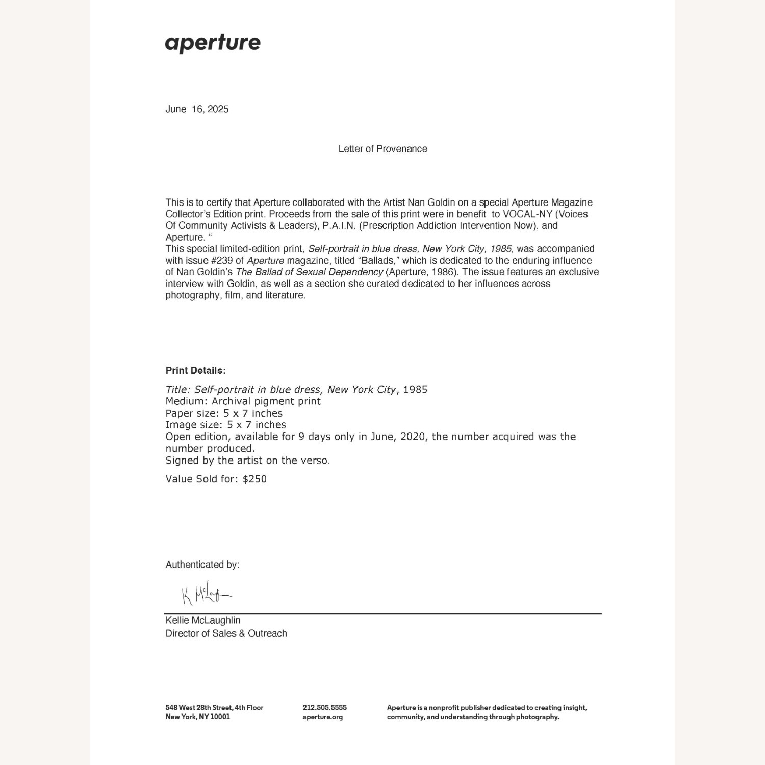 Nan Goldin's "Self-portrait In Blue Dress" - image-4