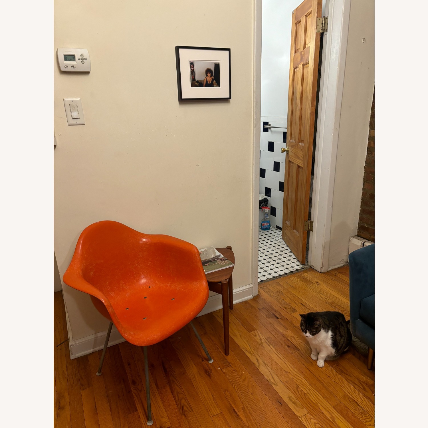 Nan Goldin's "Self-portrait In Blue Dress" - image-3