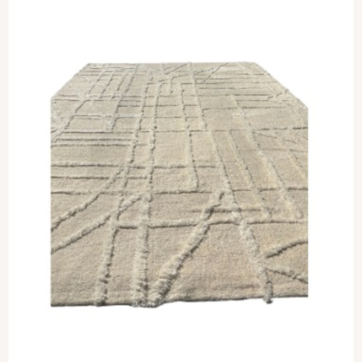 Restoration Hardware Almora Wool Rug – 10x14 - image-6