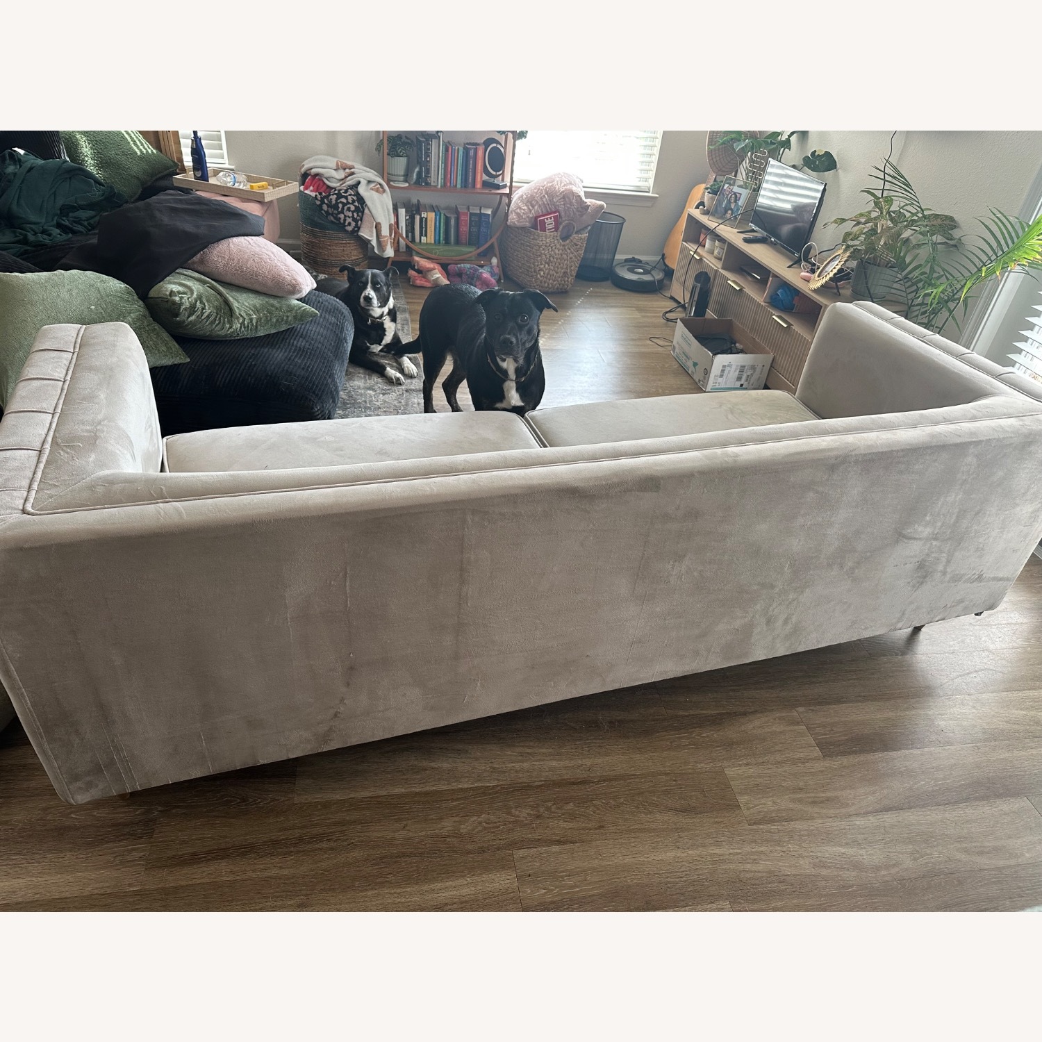 White Fabric Sleeper Sofa - image-3