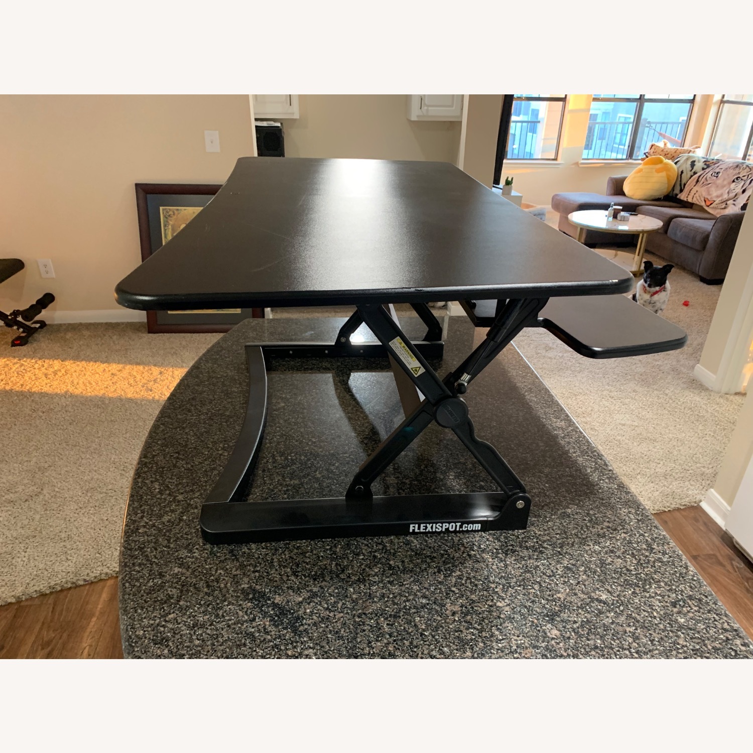 Flexispot Black Metal Desk - image-2
