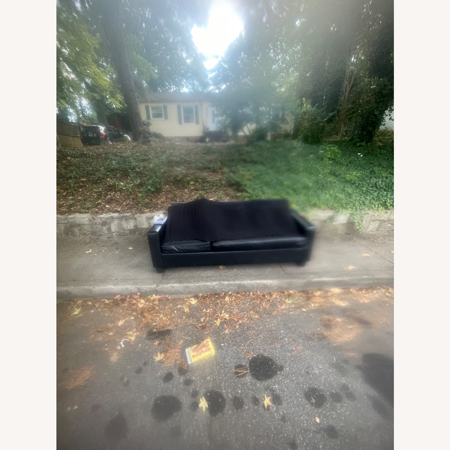 Leather Sofa - image-1