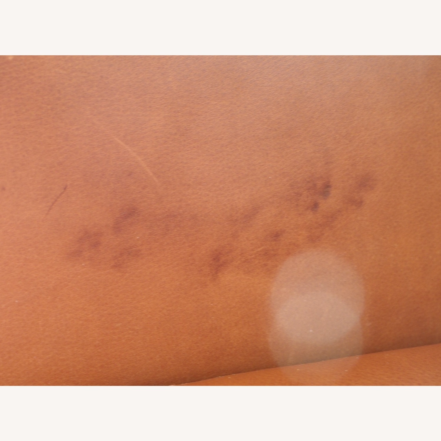 Danish Design Leather Sofa - image-5