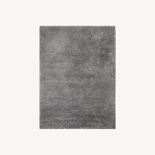 Used Plus Shag Rug for sale on AptDeco