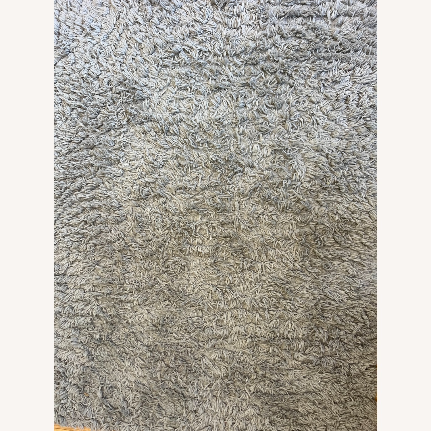 Plus Shag Rug - image-2