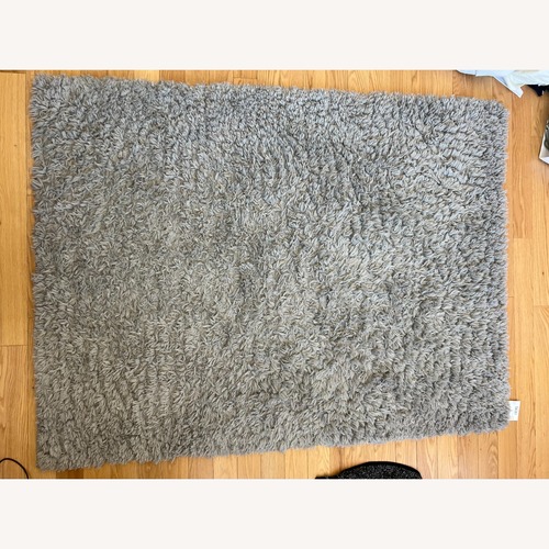 Used Plus Shag Rug for sale on AptDeco