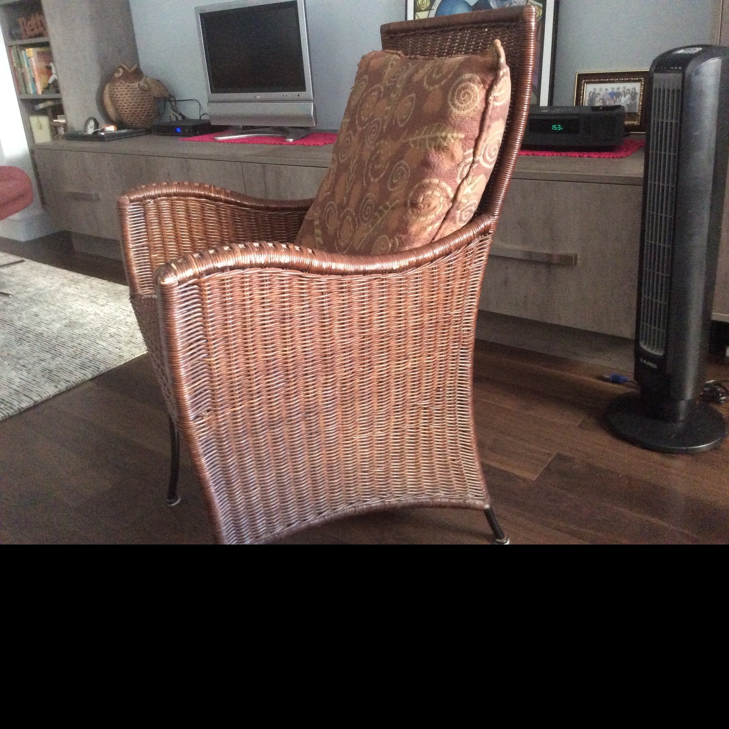 Room & Board Rattan & Steel Armchair - image-2