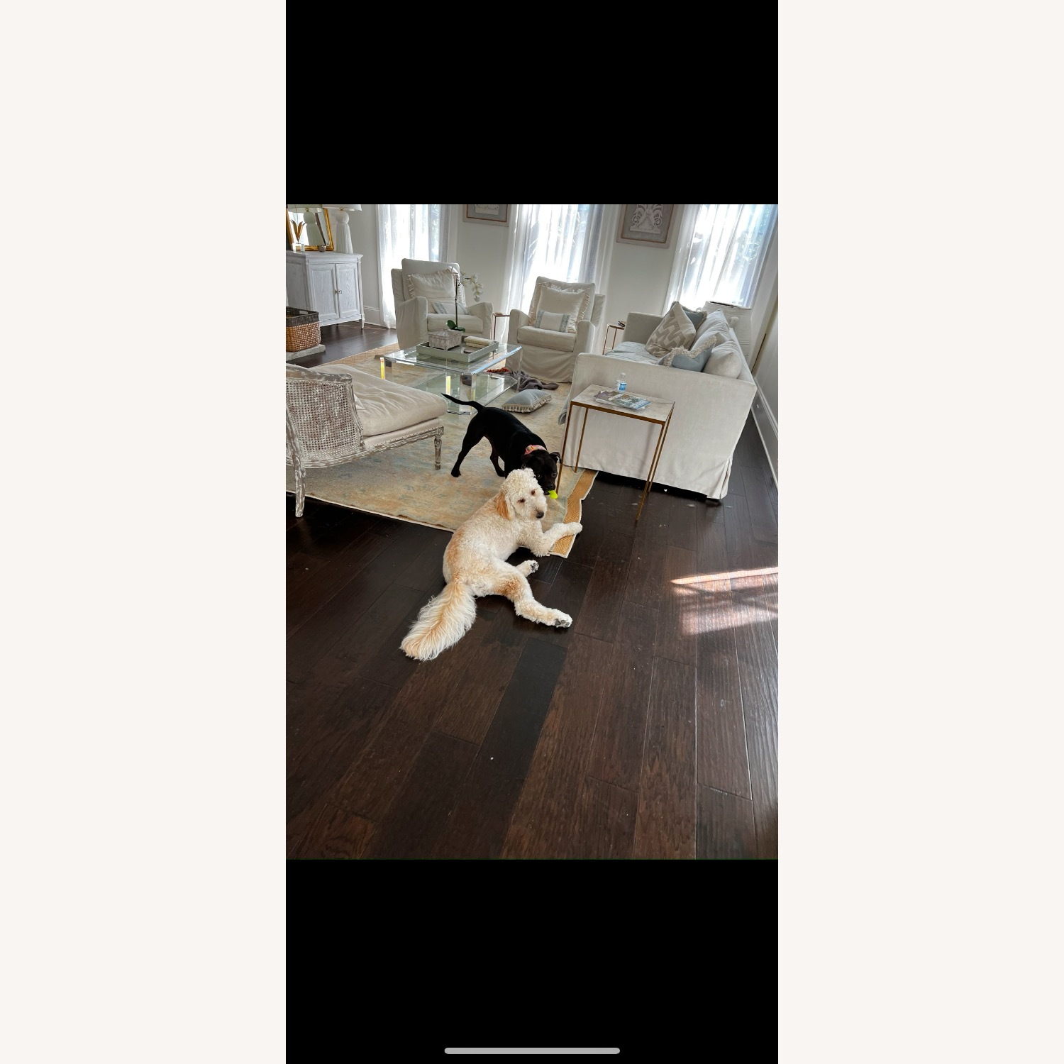 Custom Made XL Lux Sofa - image-3