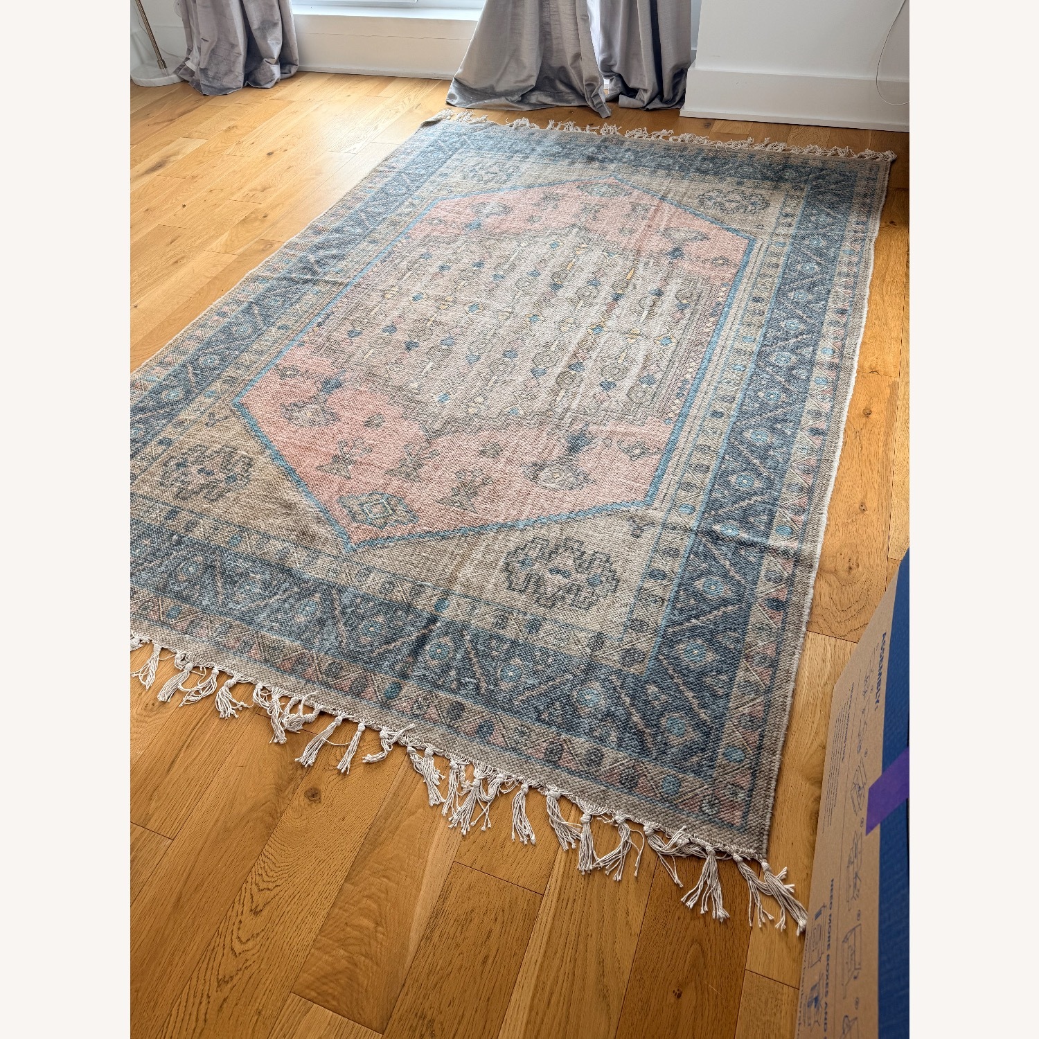 Edith Printed Rug Urban Outfitters Edith Printed Rug 5x8 Rug - AptDeco