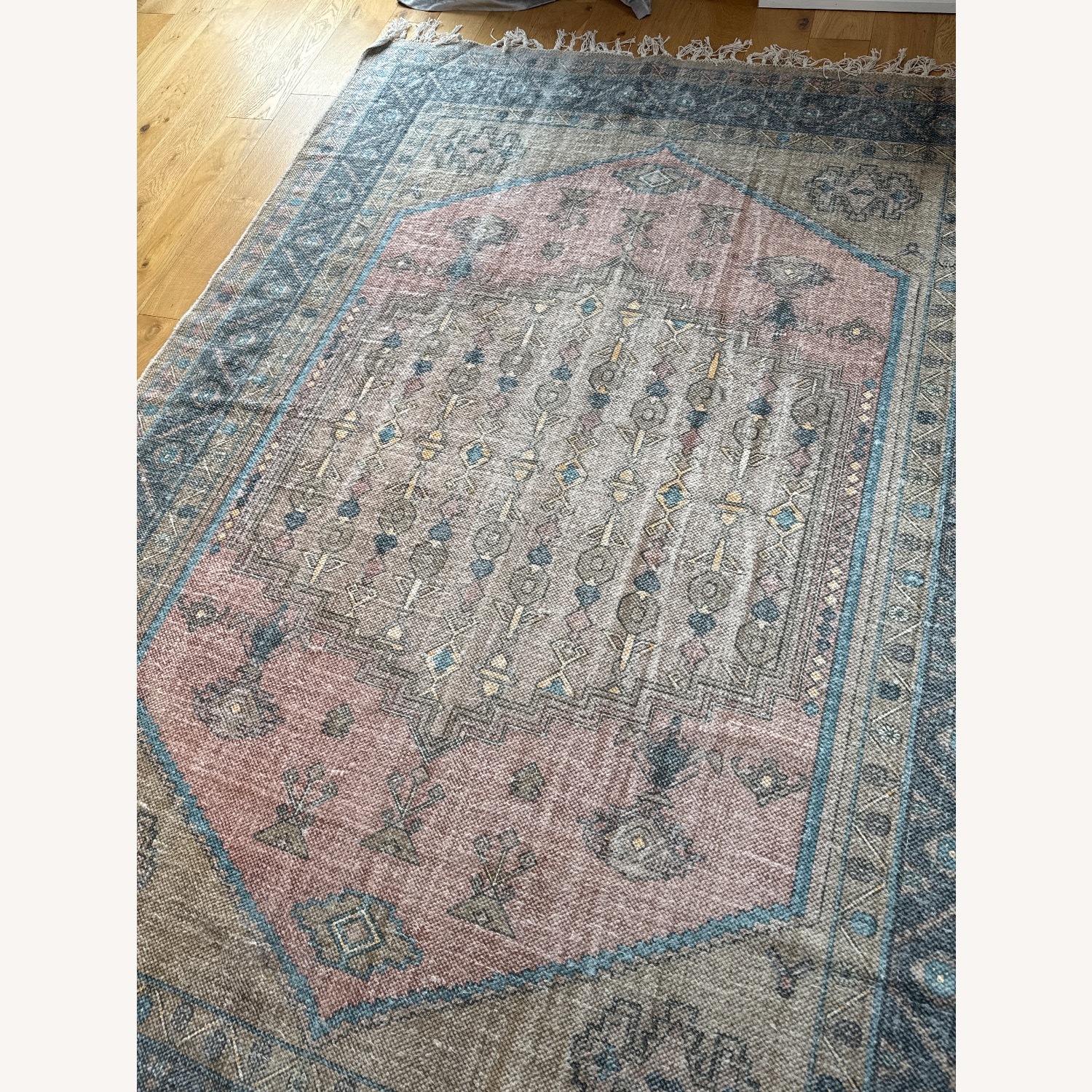 Edith Printed Rug Urban Outfitters Edith Printed Rug 5x8 Rug - AptDeco