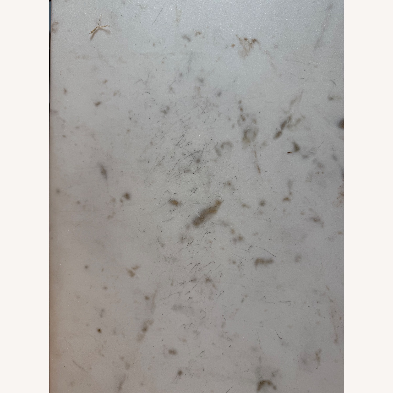 Anthropologie Elemental Layers Coffee Table - image-4