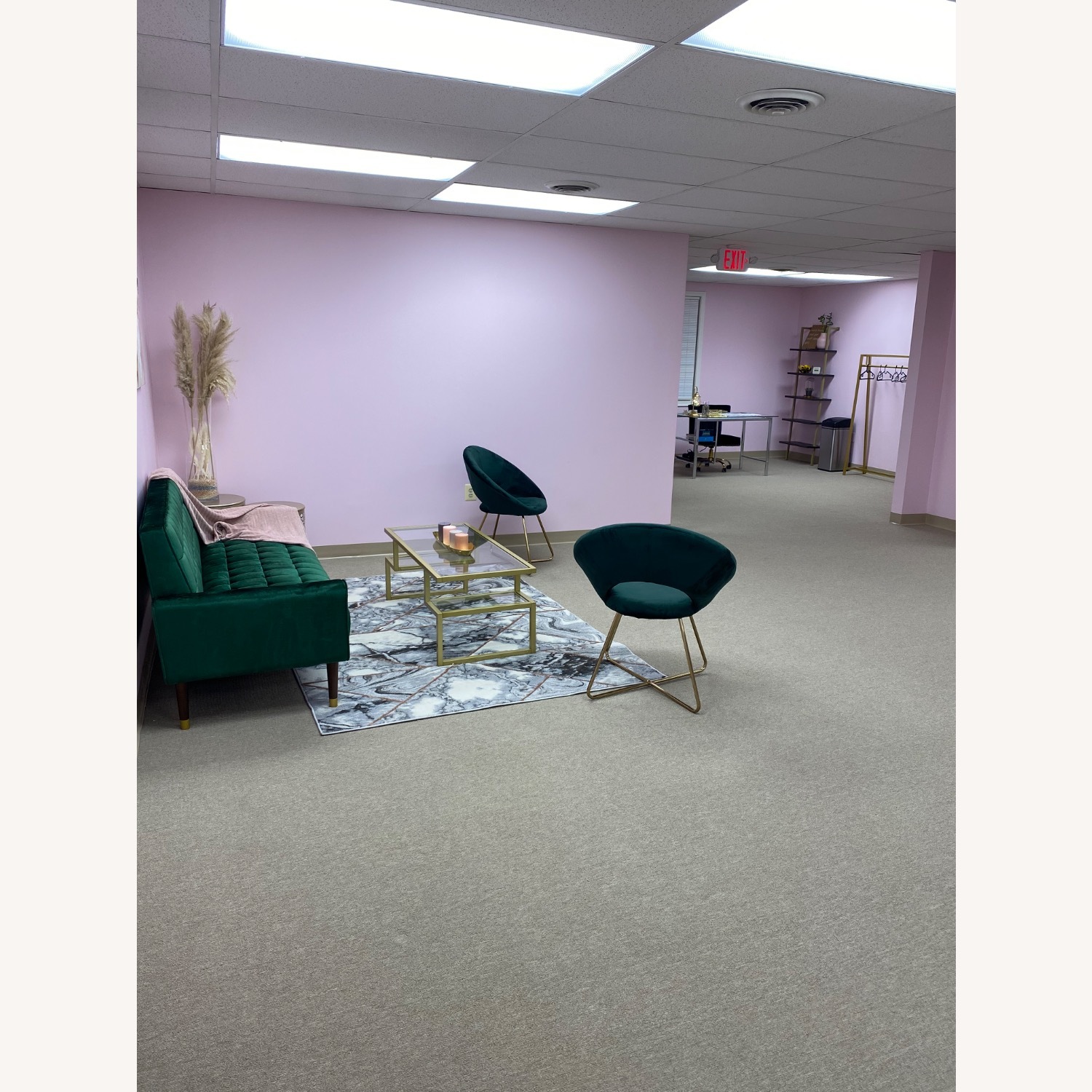 Wayfair Area Rug 8' x 10' - image-3