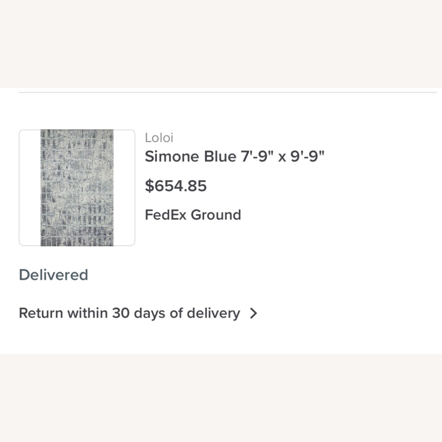 Loll Designs Blue Area Rug 8' x 10 - image-1